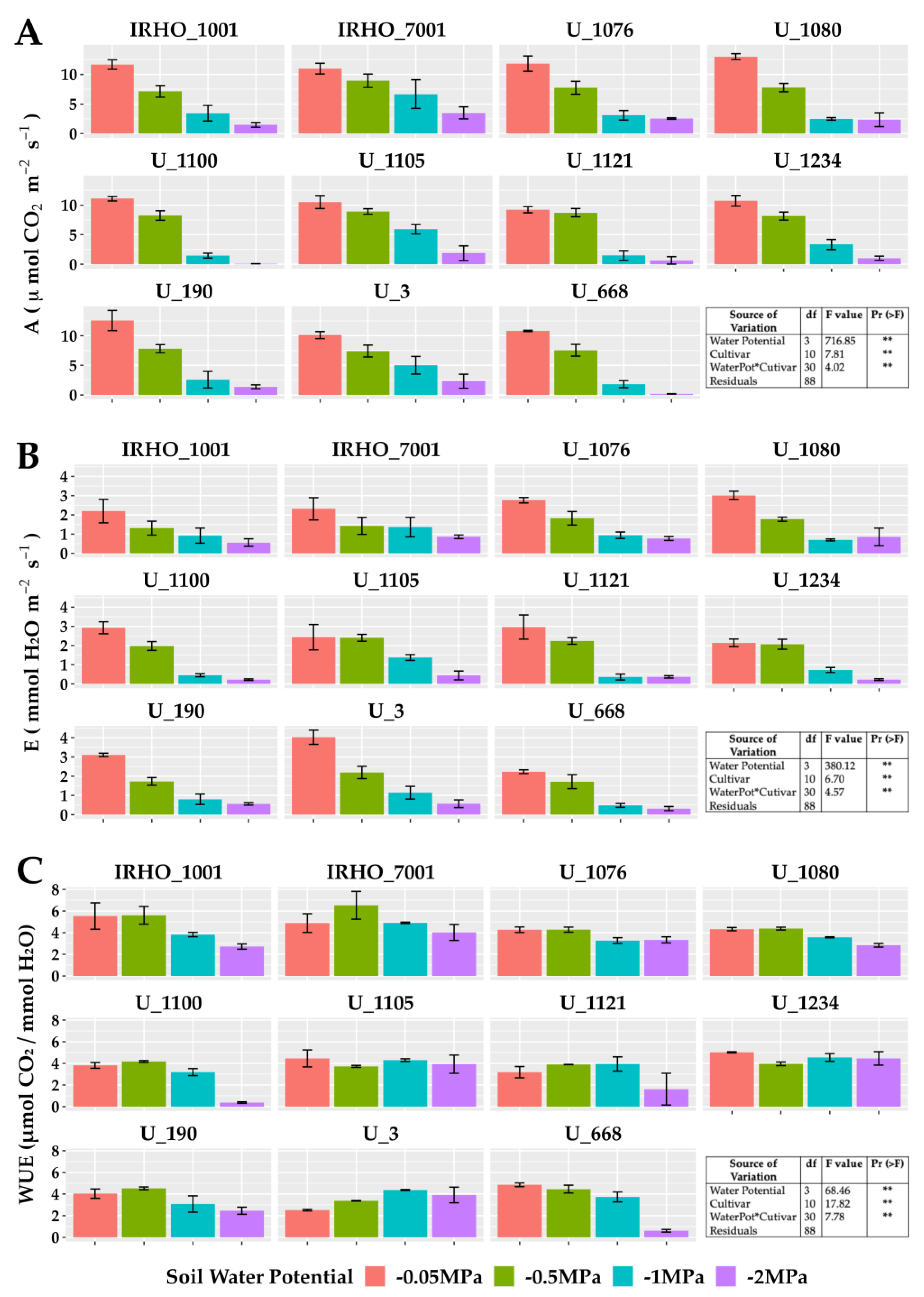 Plants 13 01598 g005