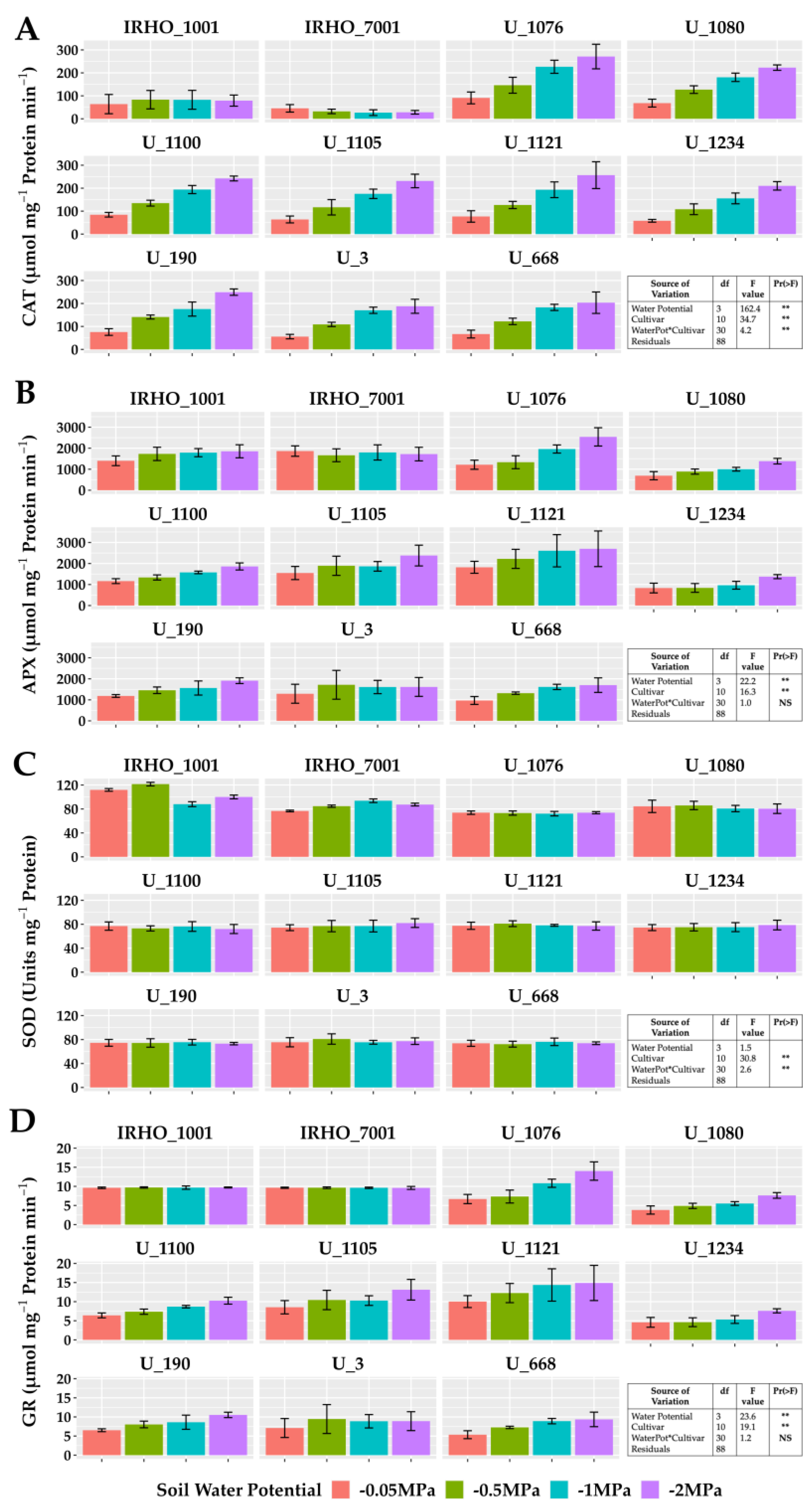 Plants 13 01598 g007