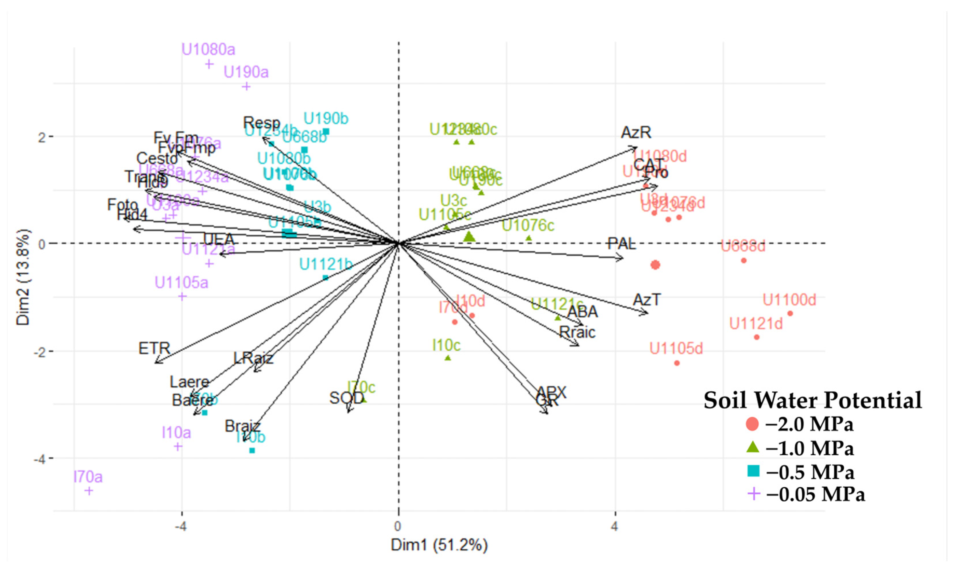 Plants 13 01598 g009
