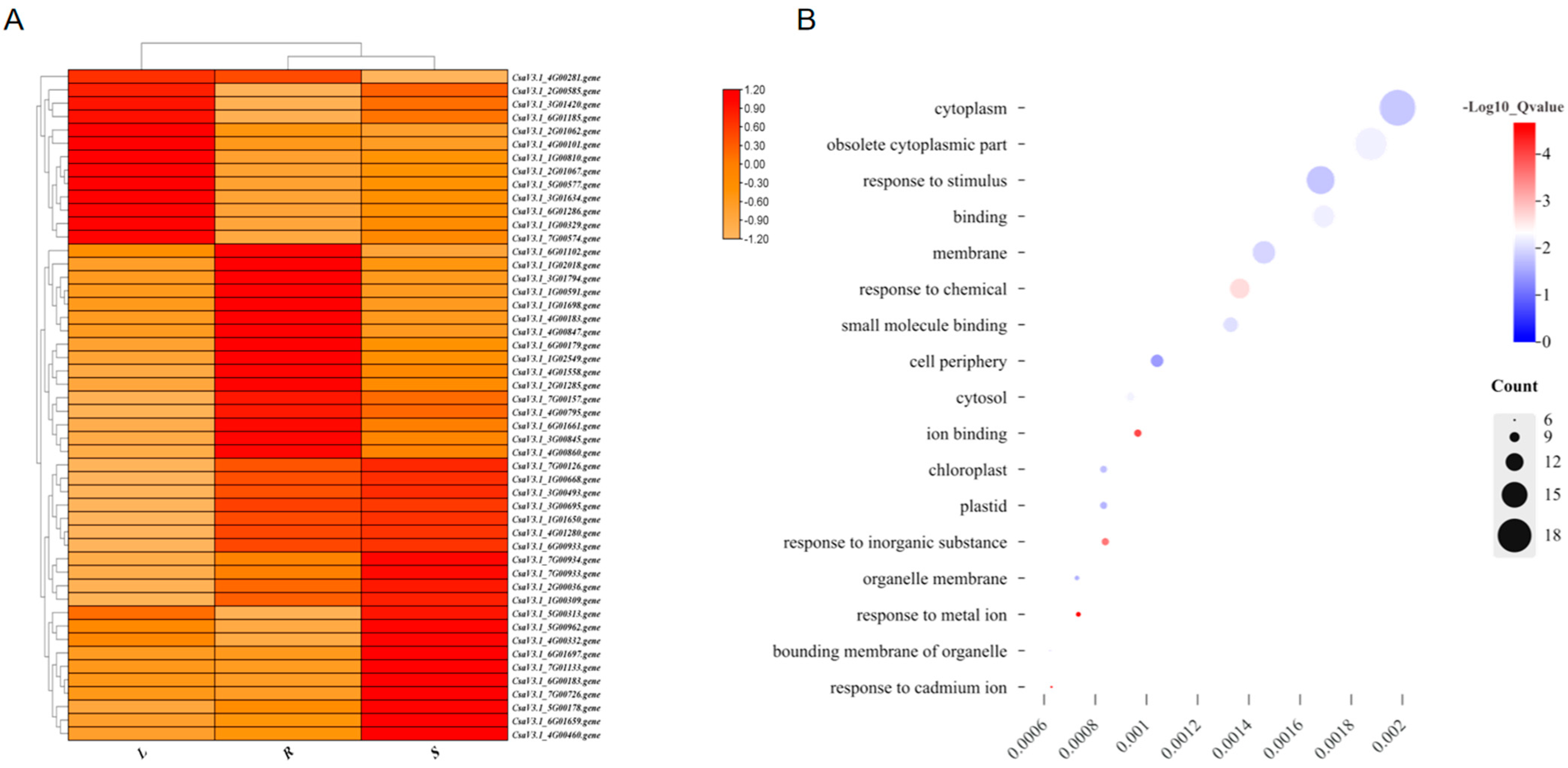 Plants 13 01604 g002