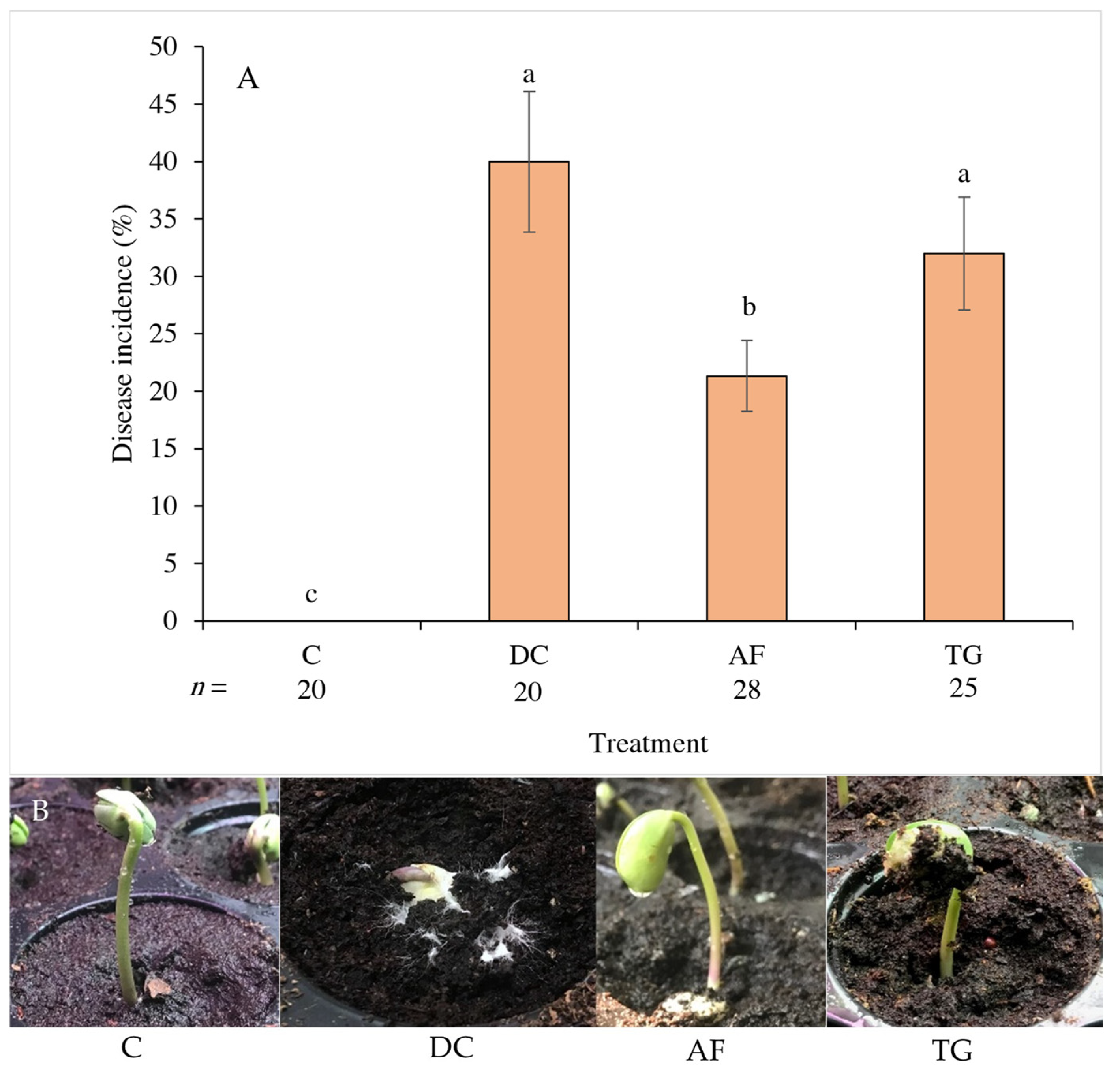 Plants 13 01607 g003