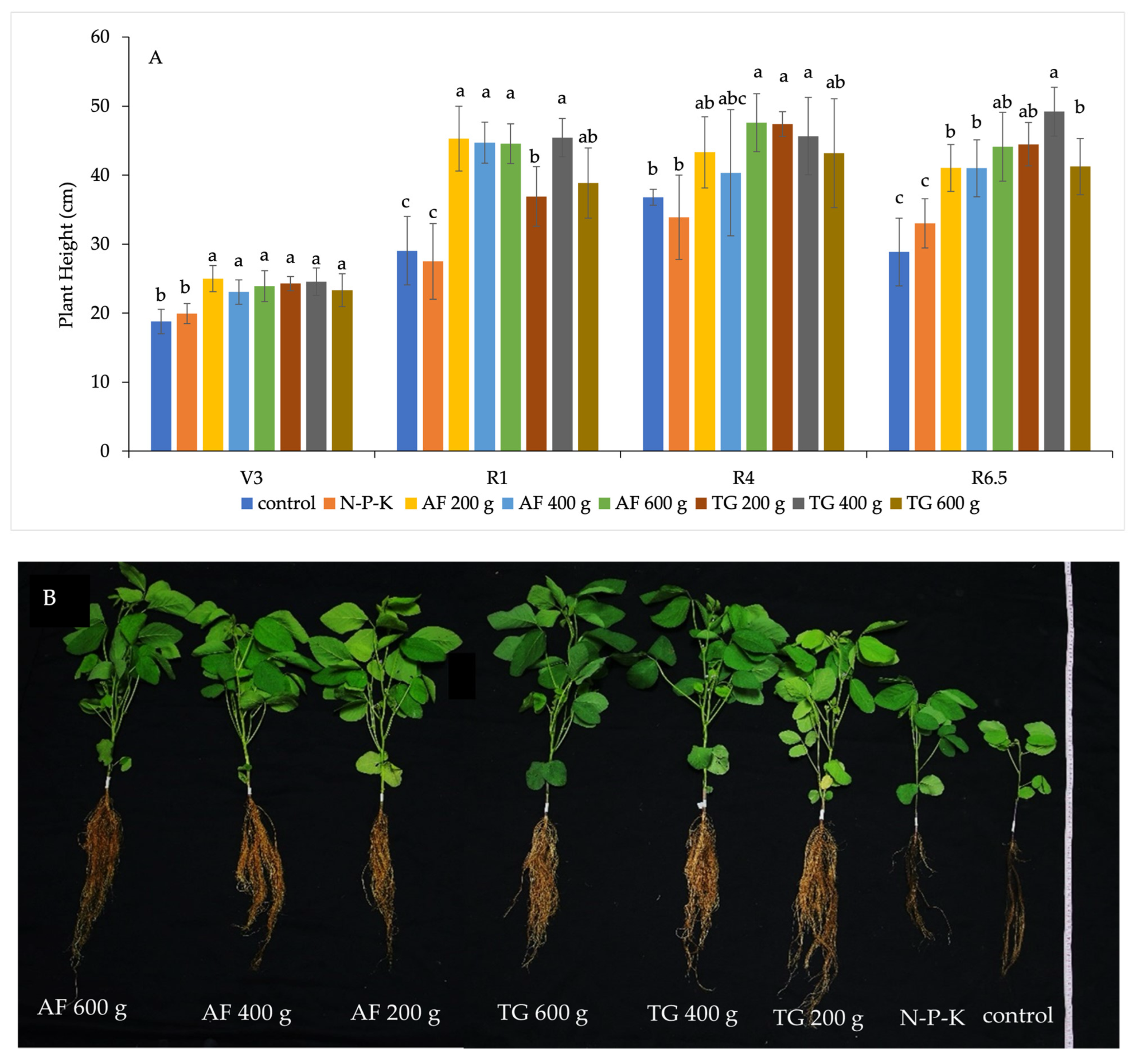 Plants 13 01607 g004a