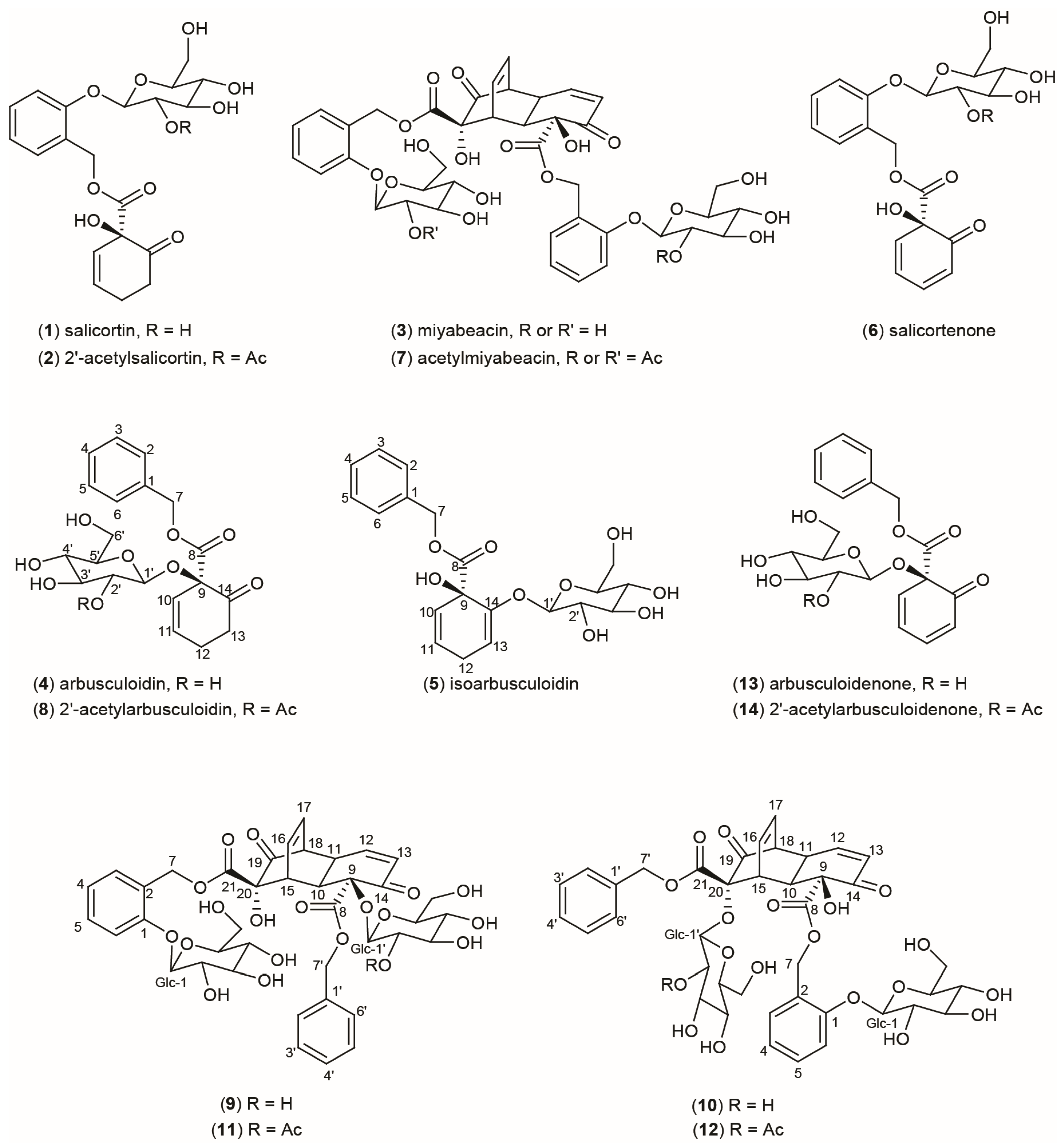 Plants 13 01609 g001