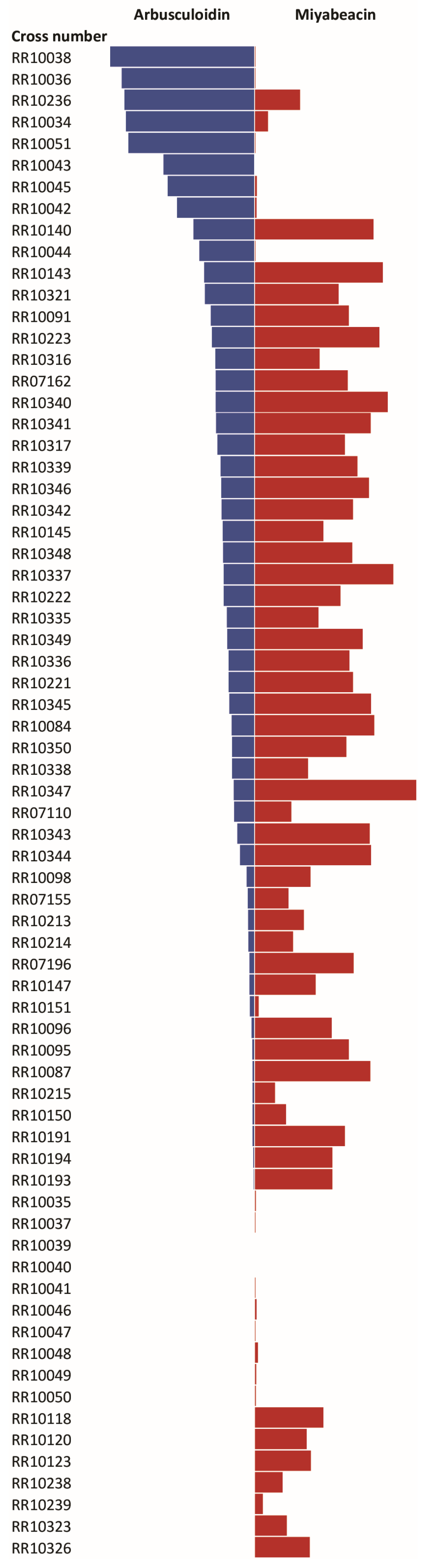 Plants 13 01609 g002