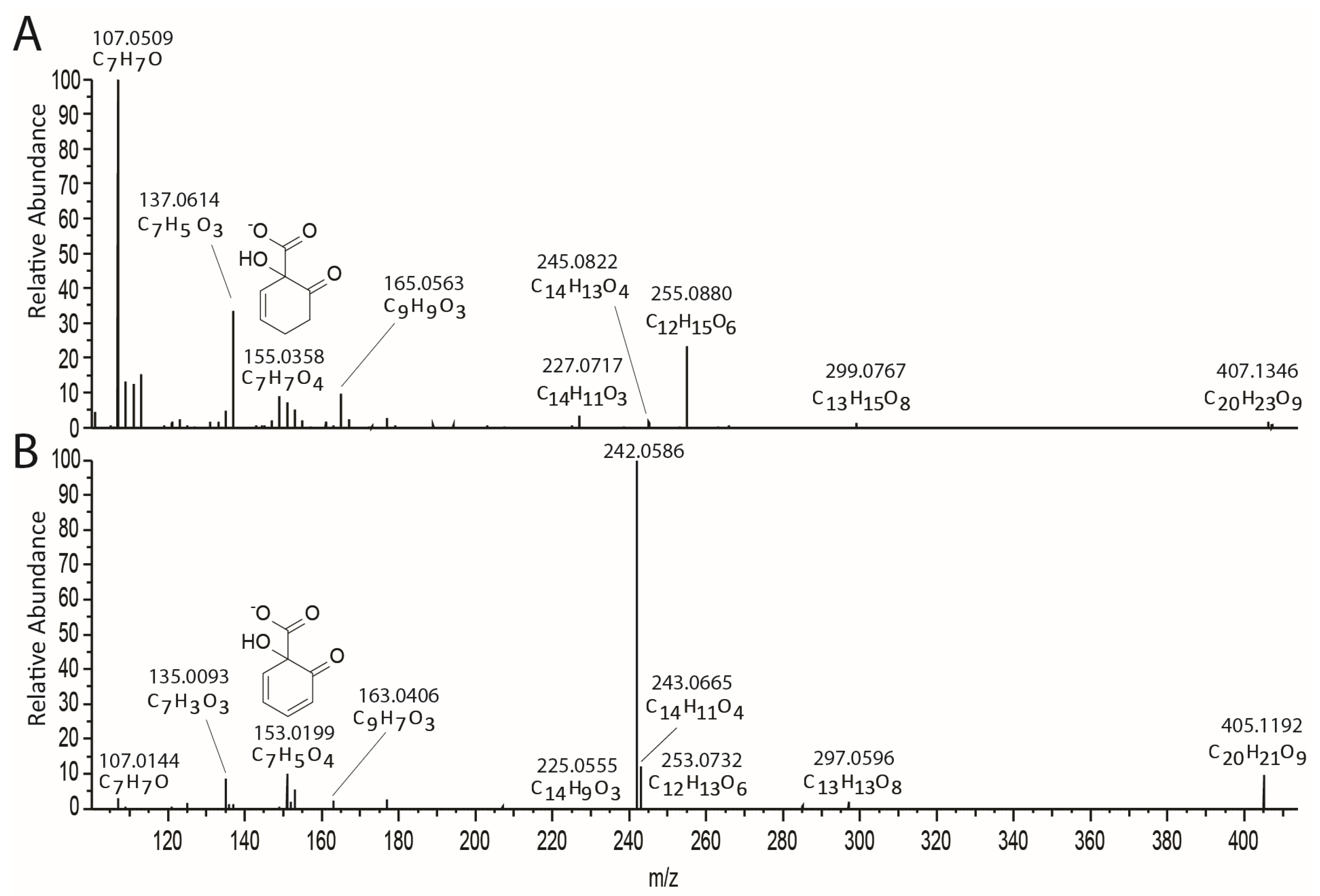 Plants 13 01609 g004