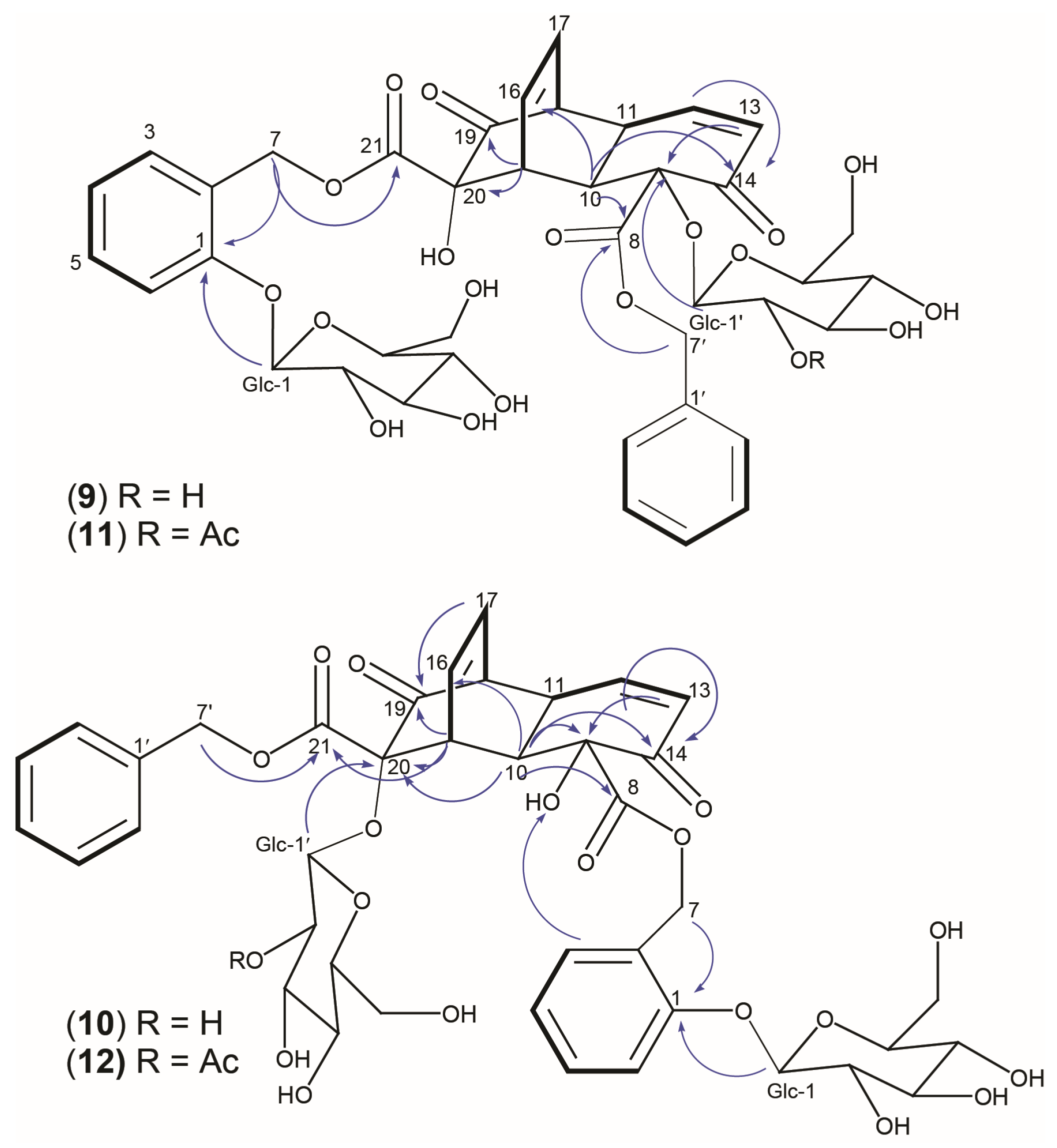 Plants 13 01609 g005