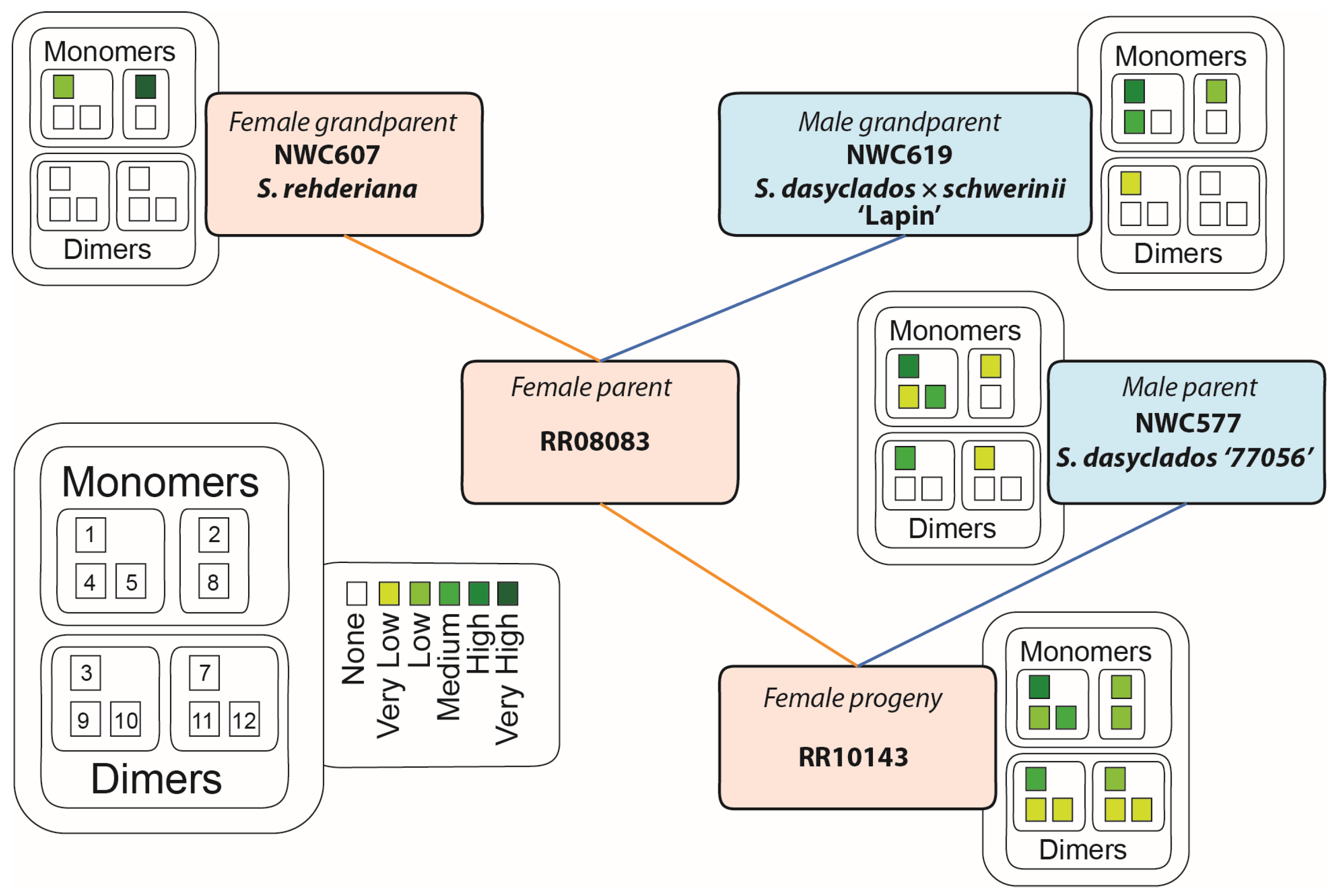 Plants 13 01609 g006