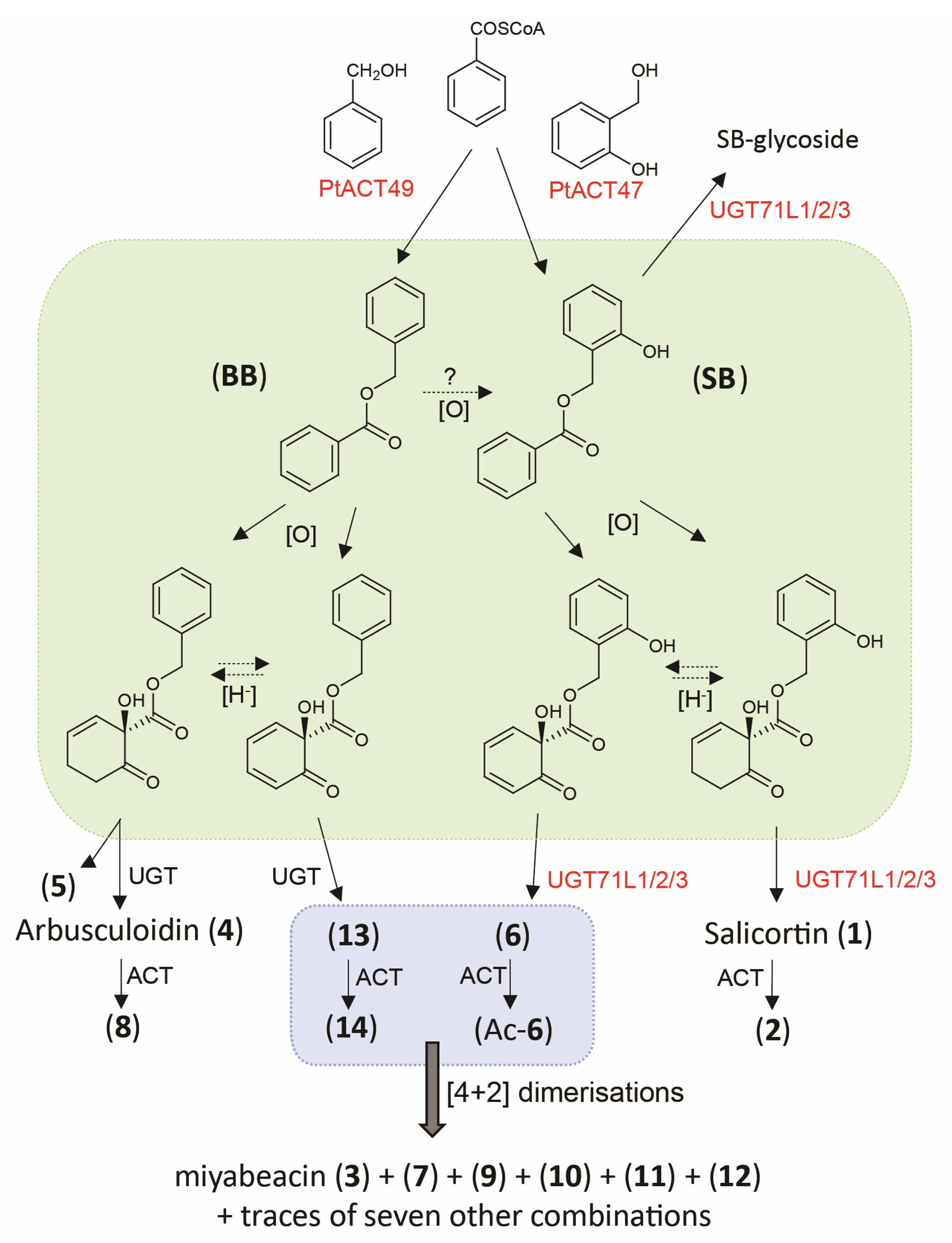 Plants 13 01609 g007