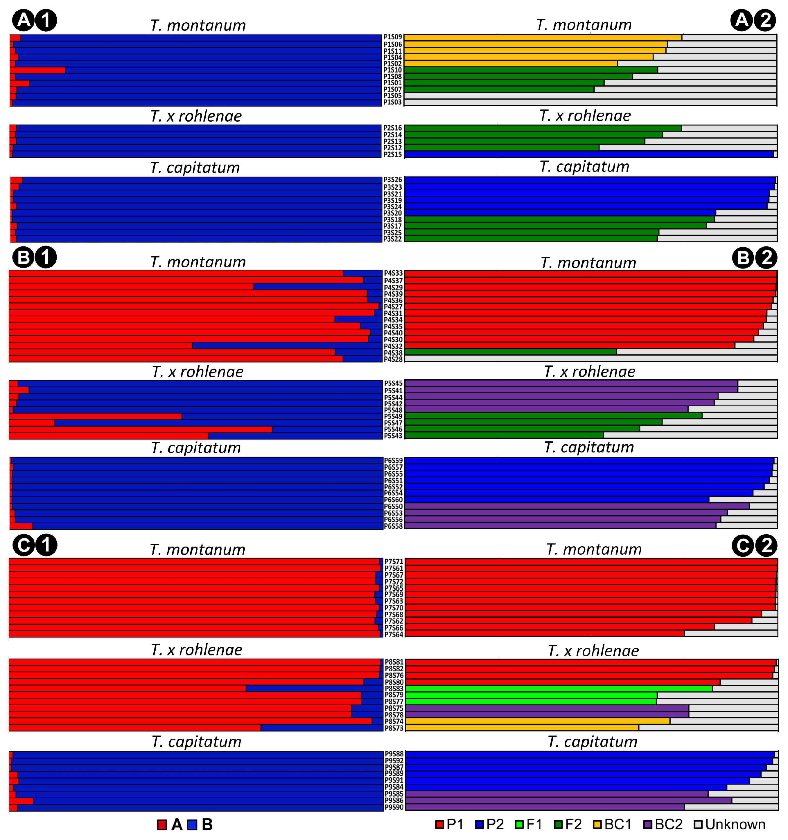 Plants 13 01617 g003