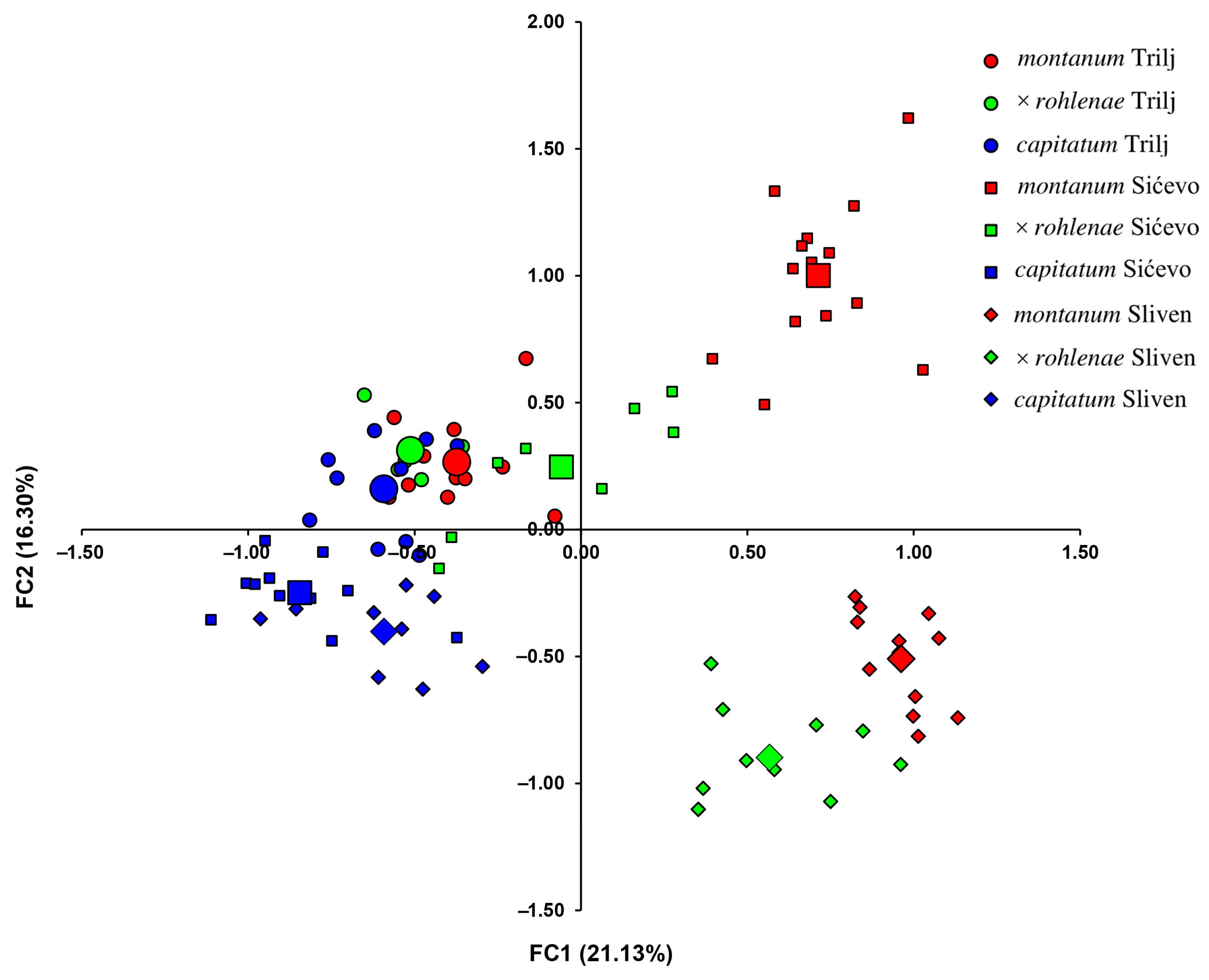 Plants 13 01617 g004