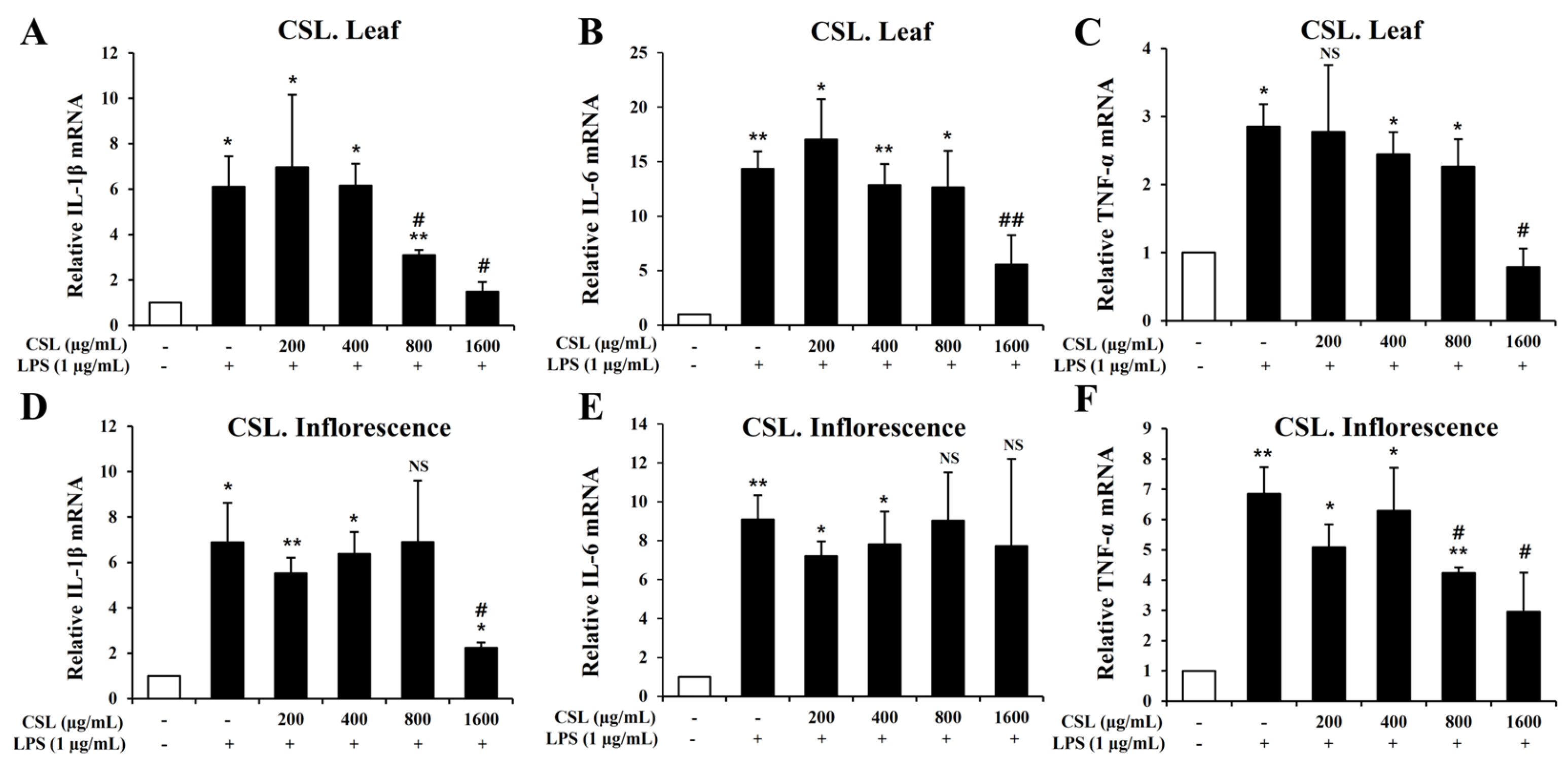 Plants 13 01619 g007