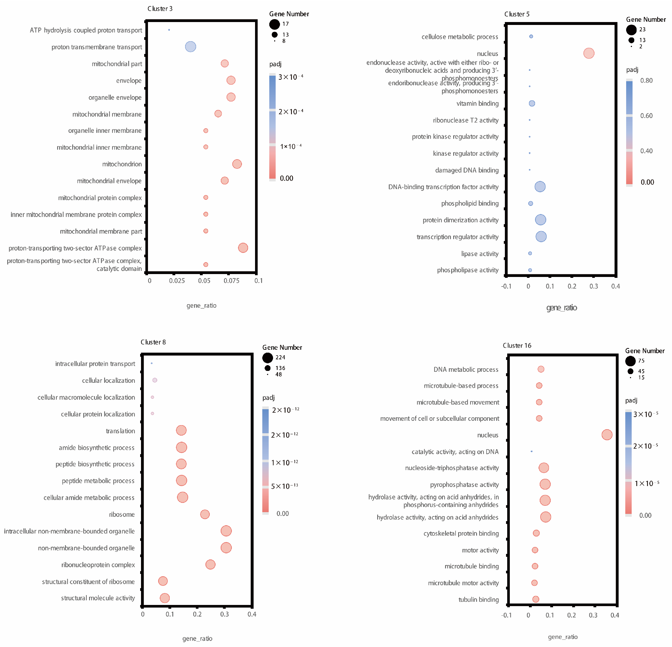 Plants 13 01620 g005