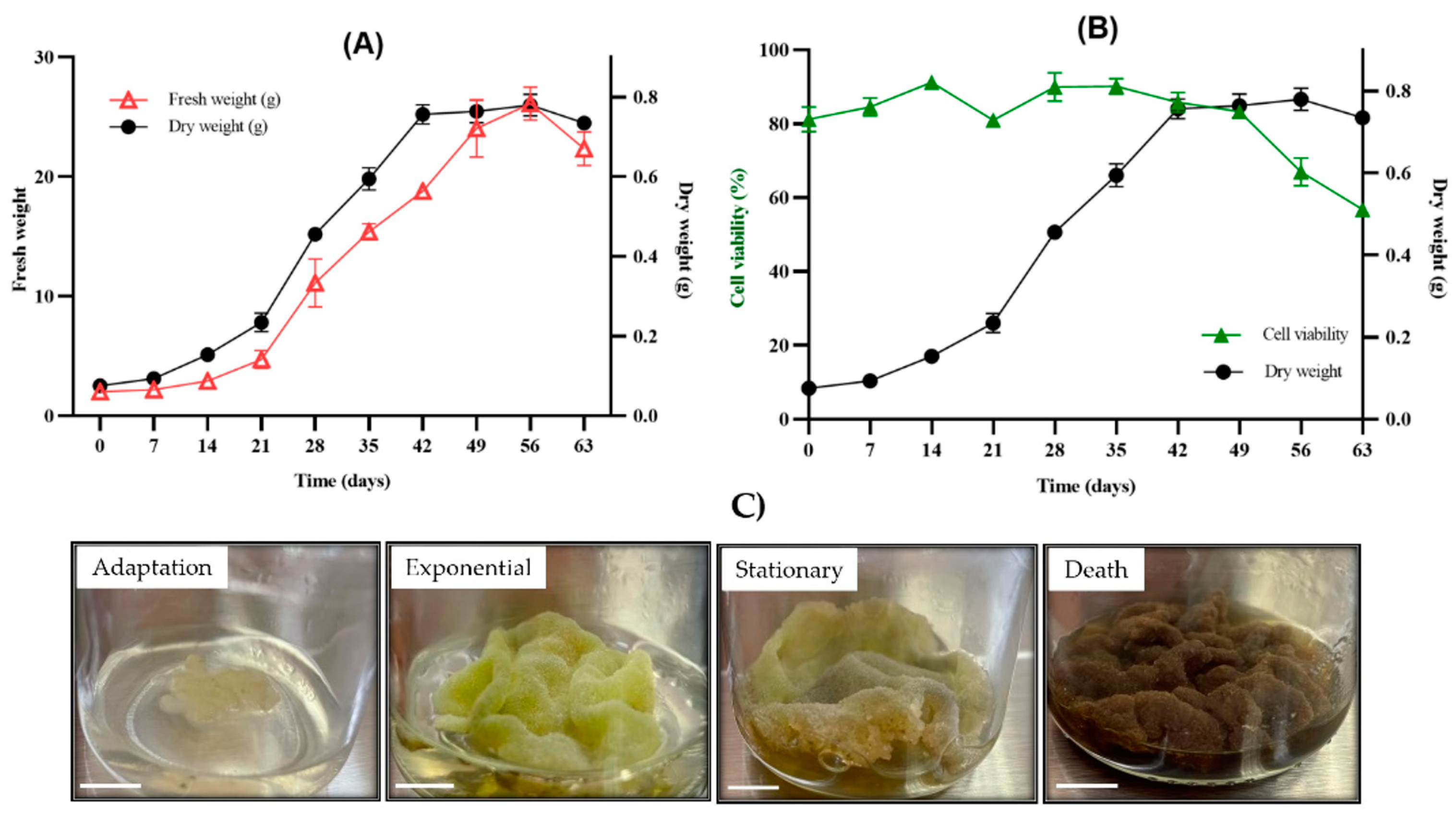 Plants 13 01622 g003 Plants 13 01622 g003
