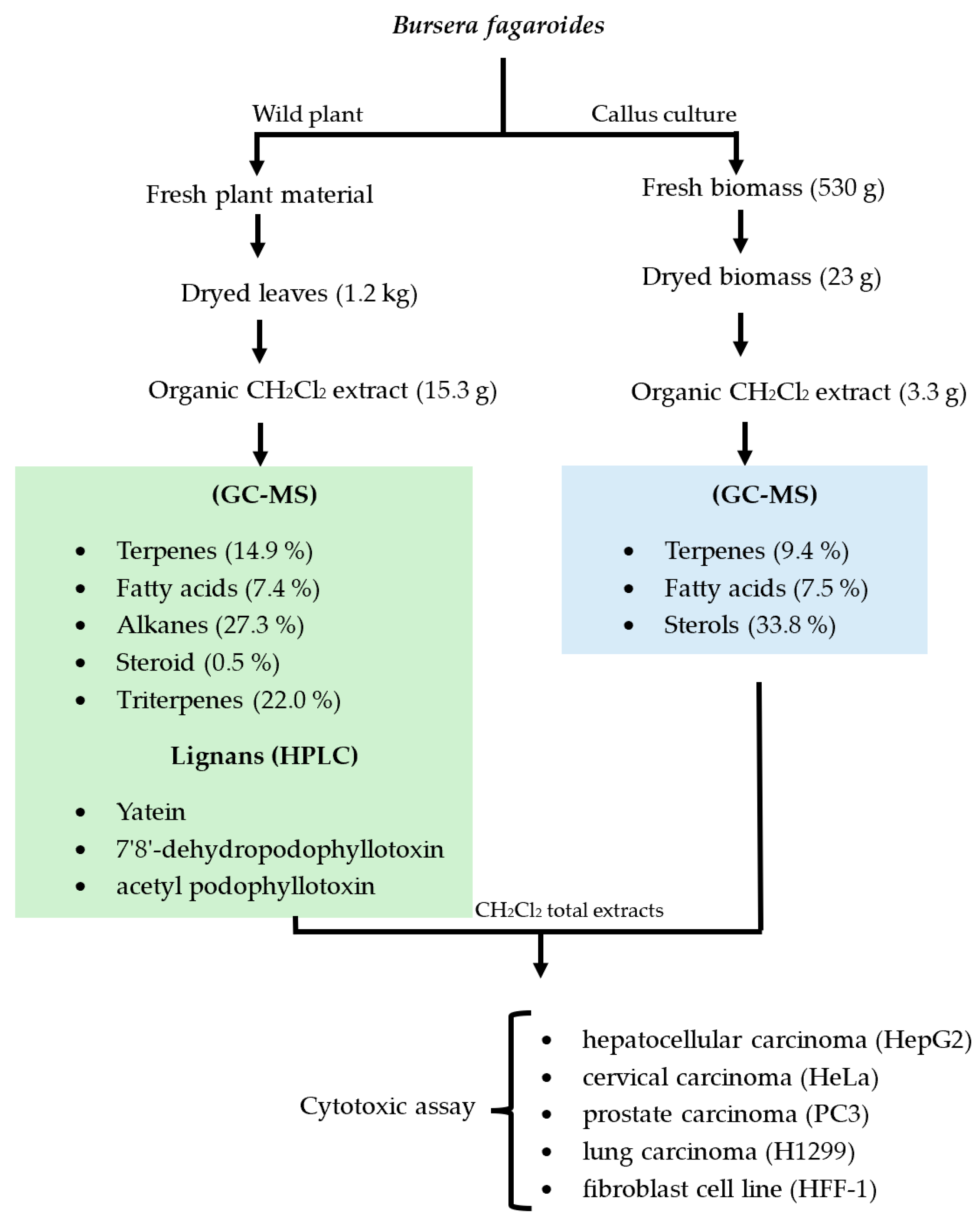 Plants 13 01622 g007 Plants 13 01622 g007