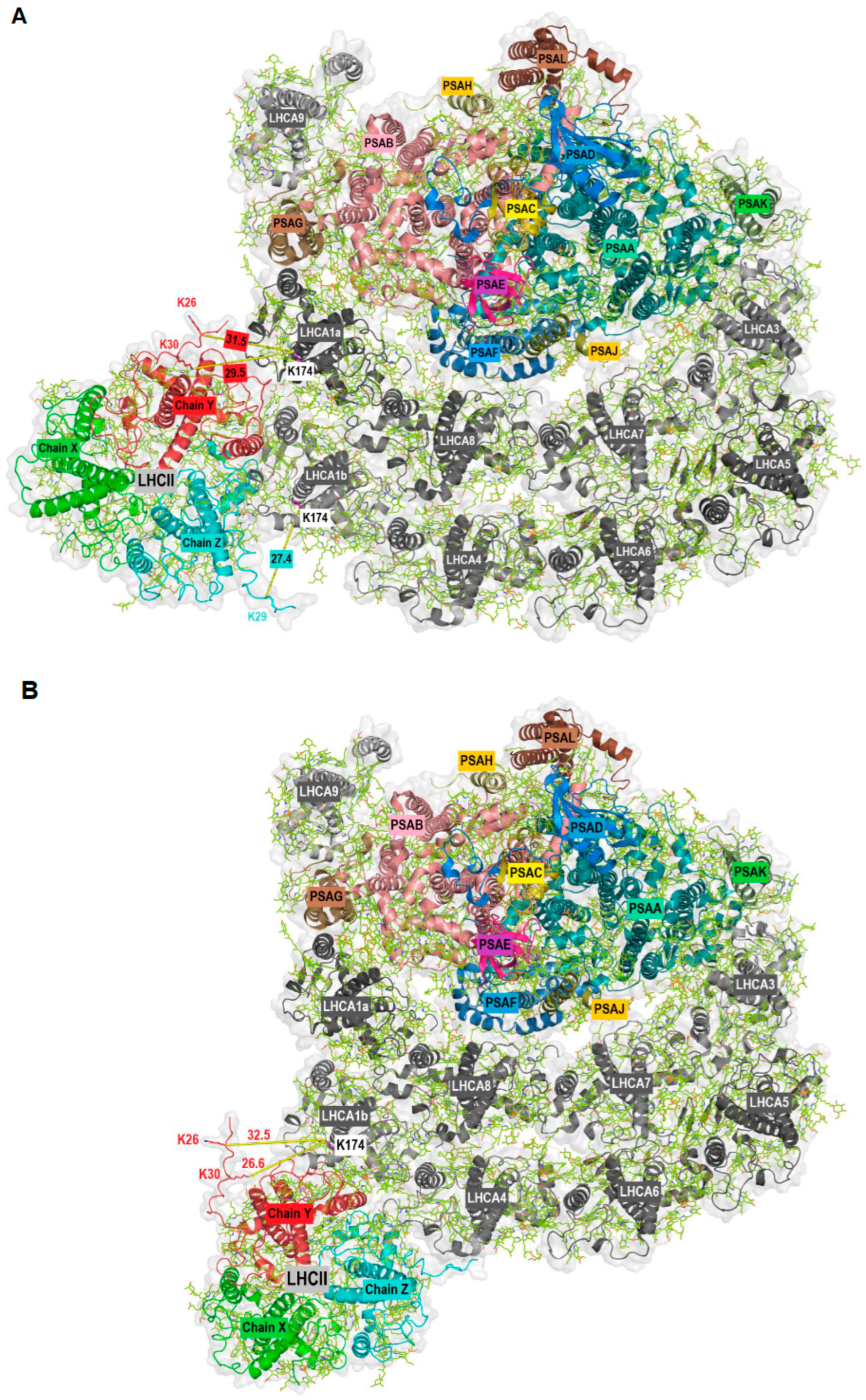 Plants 13 01632 g002