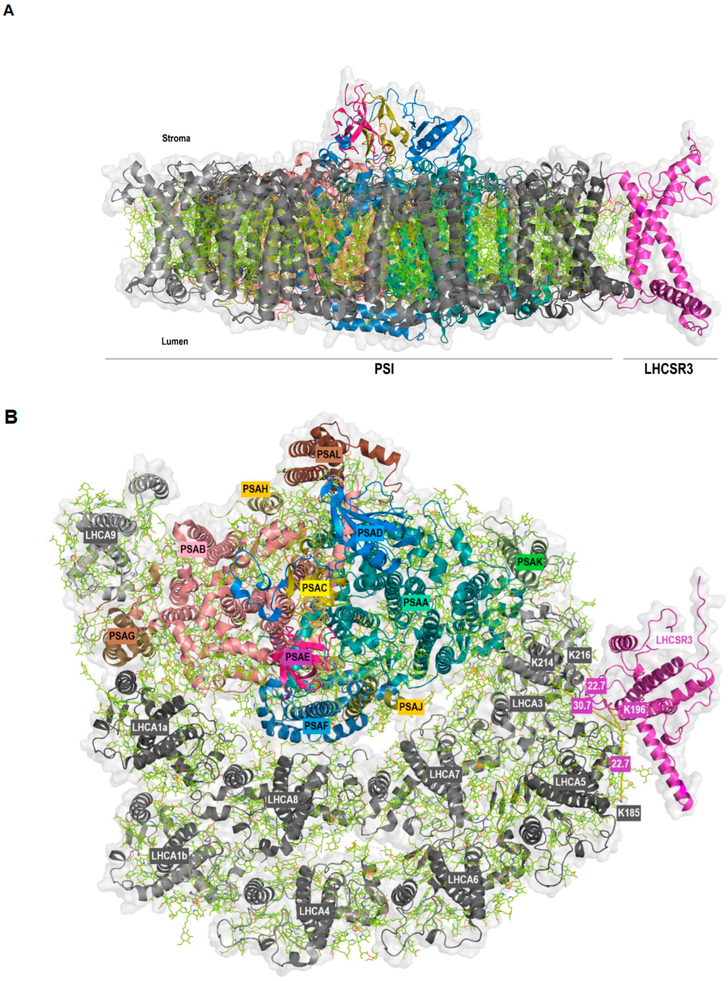 Plants 13 01632 g003