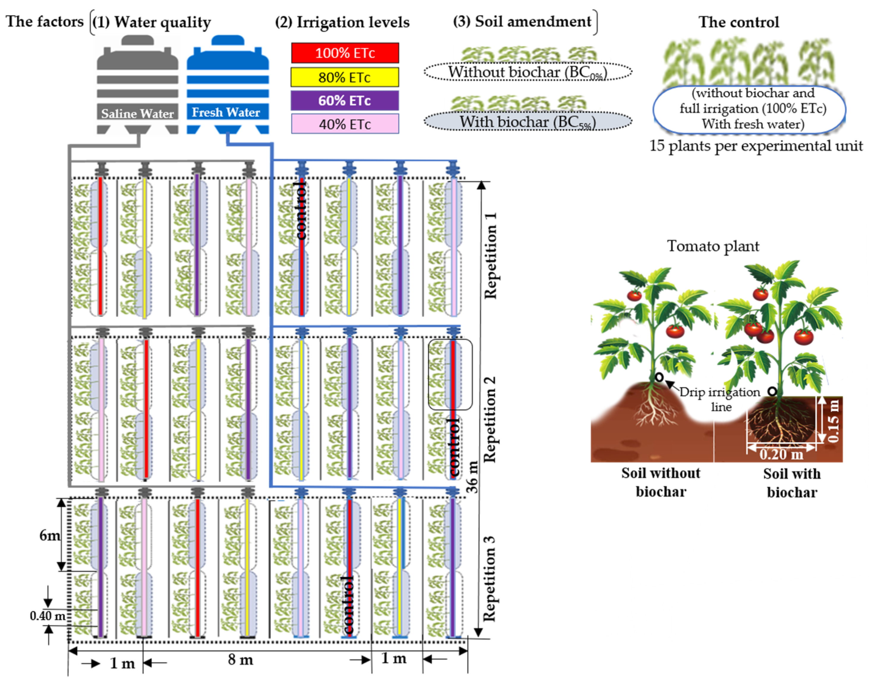 Plants 13 01634 g005