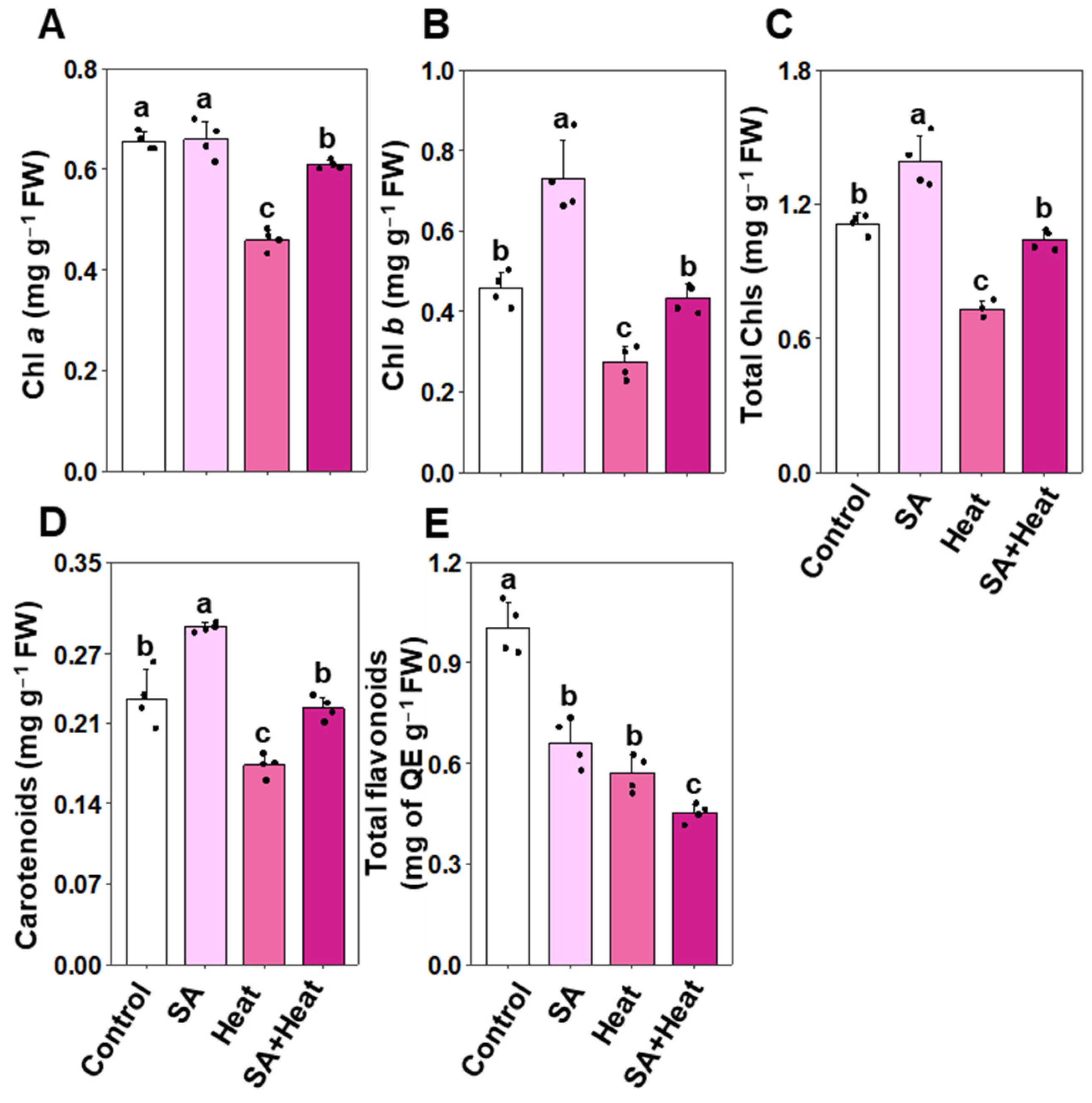 Plants 13 01639 g002