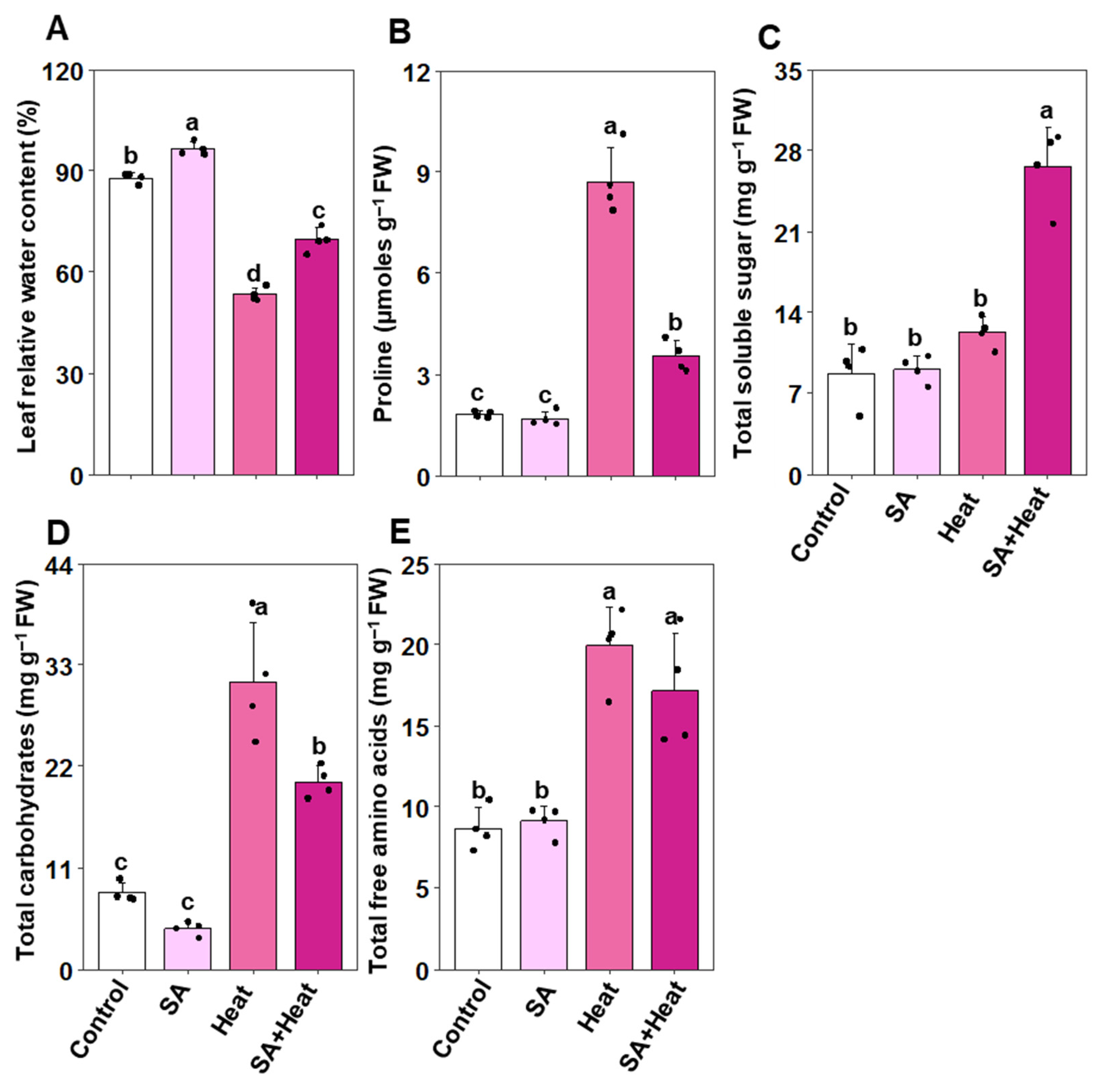 Plants 13 01639 g005