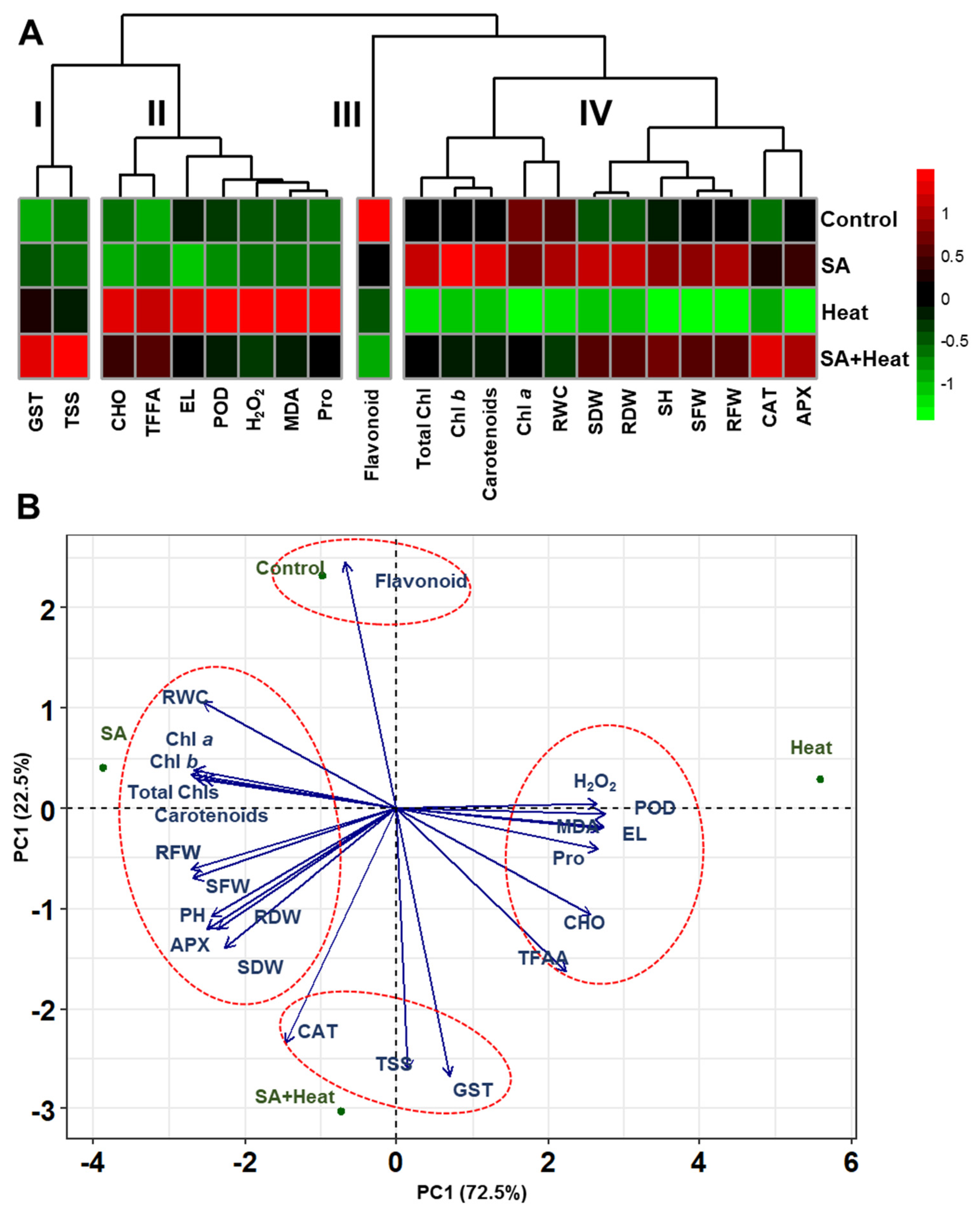 Plants 13 01639 g006