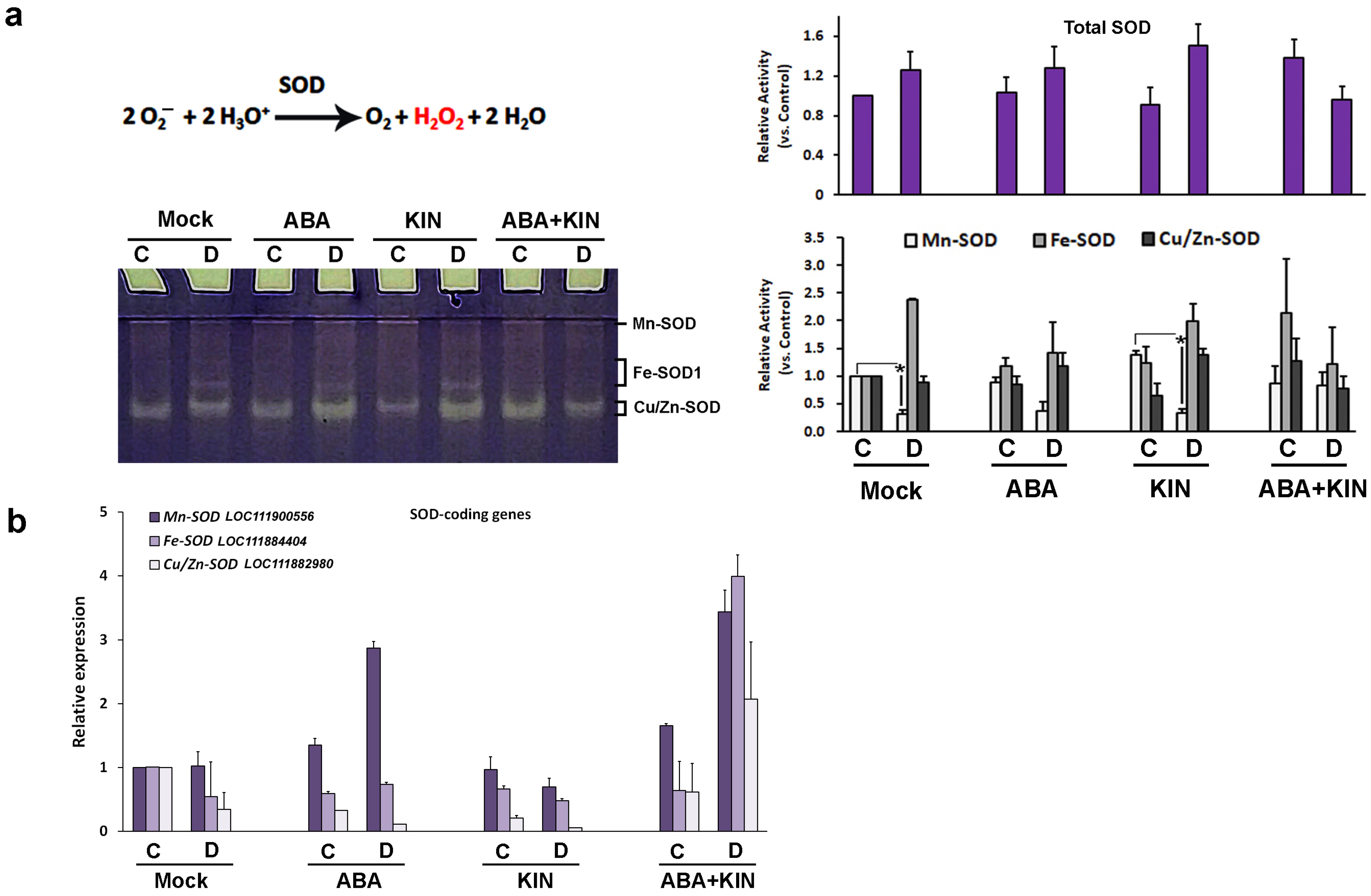 Plants 13 01641 g005