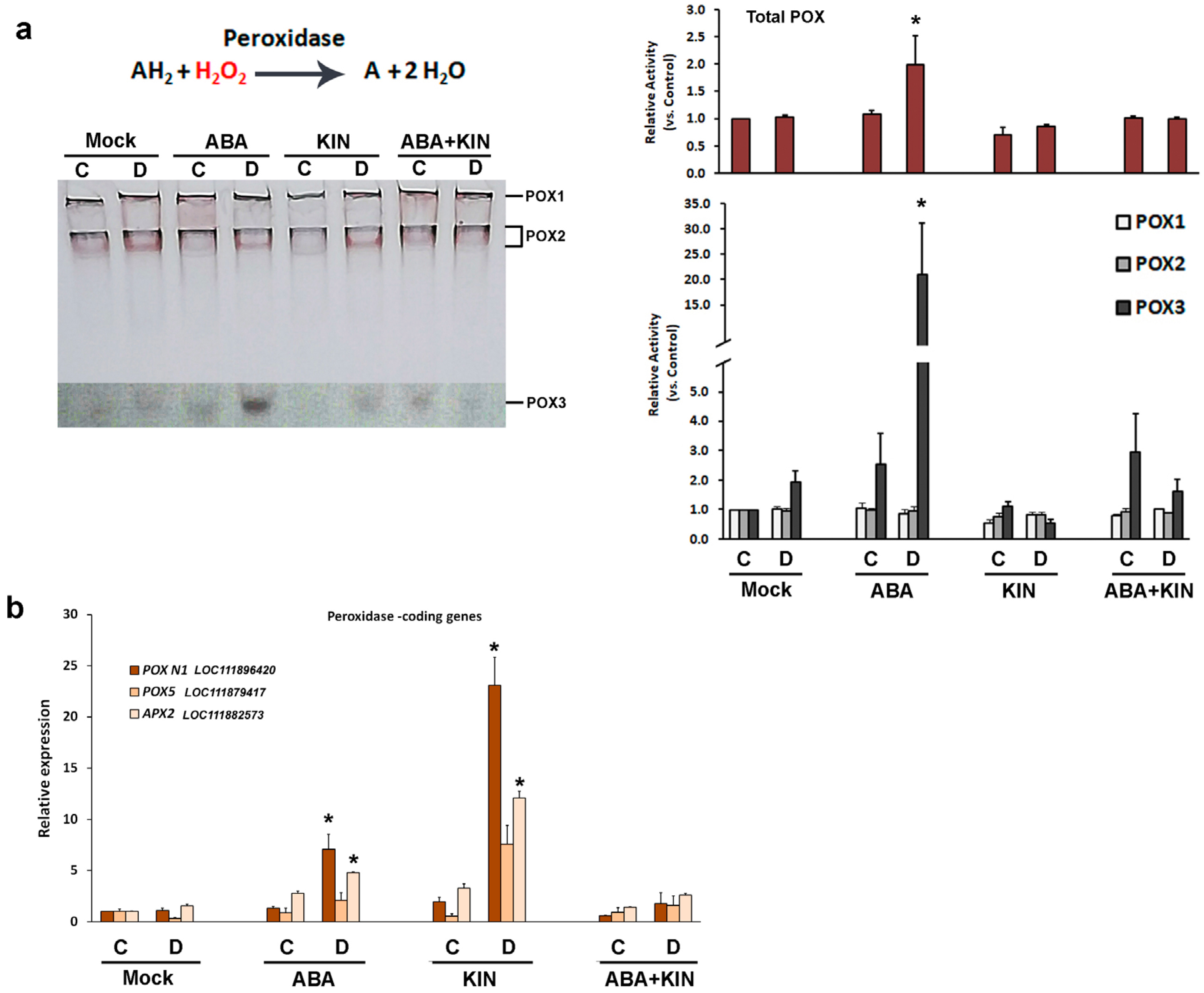 Plants 13 01641 g007