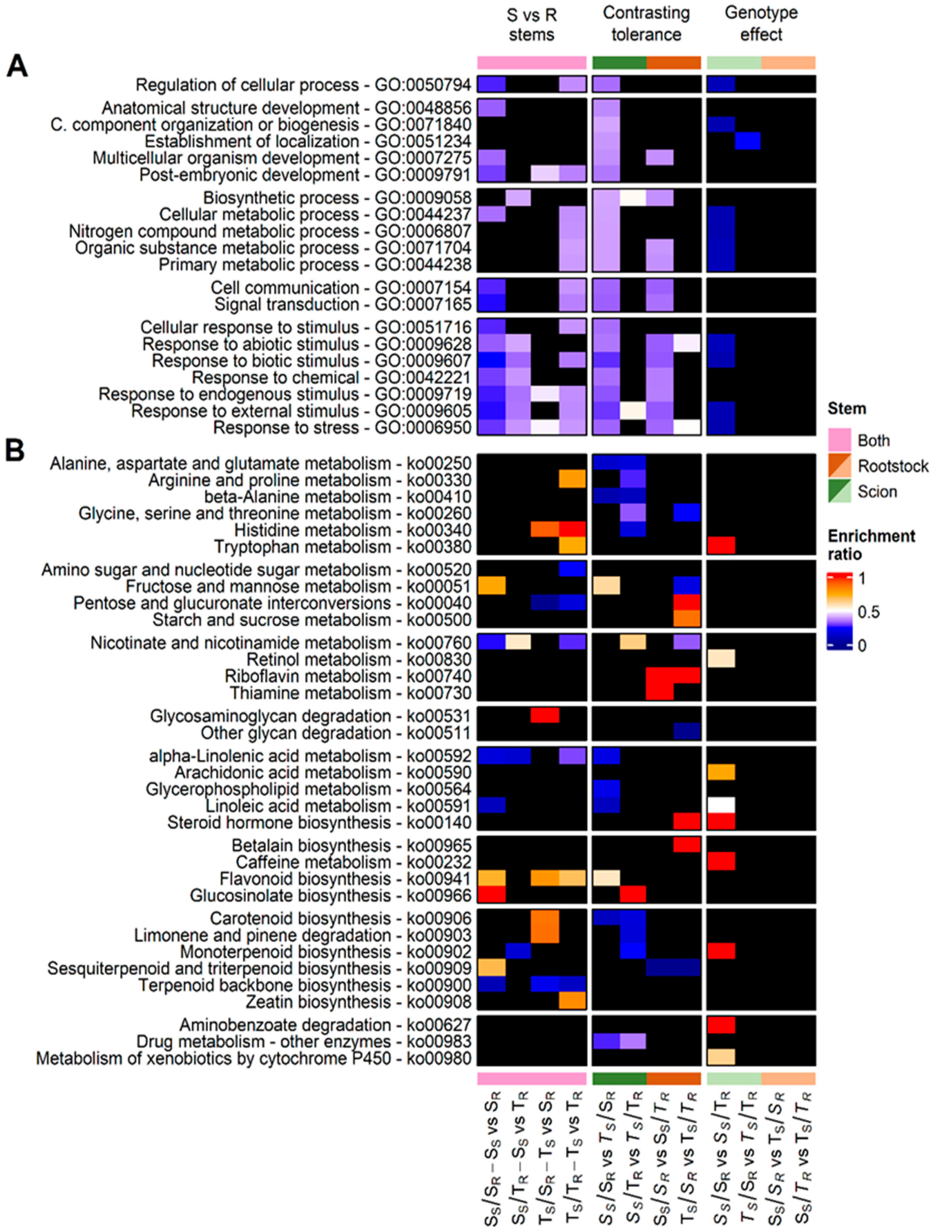 Plants 13 01644 g003