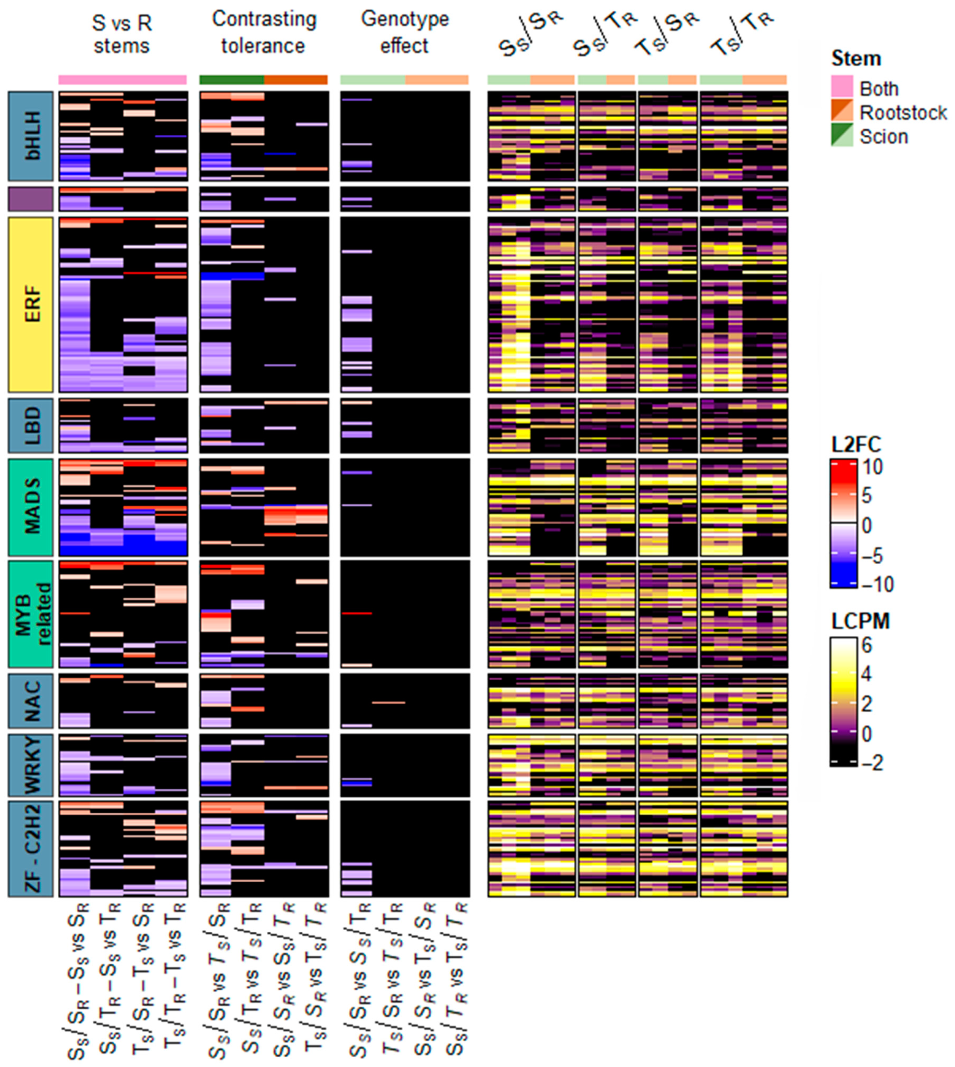 Plants 13 01644 g005