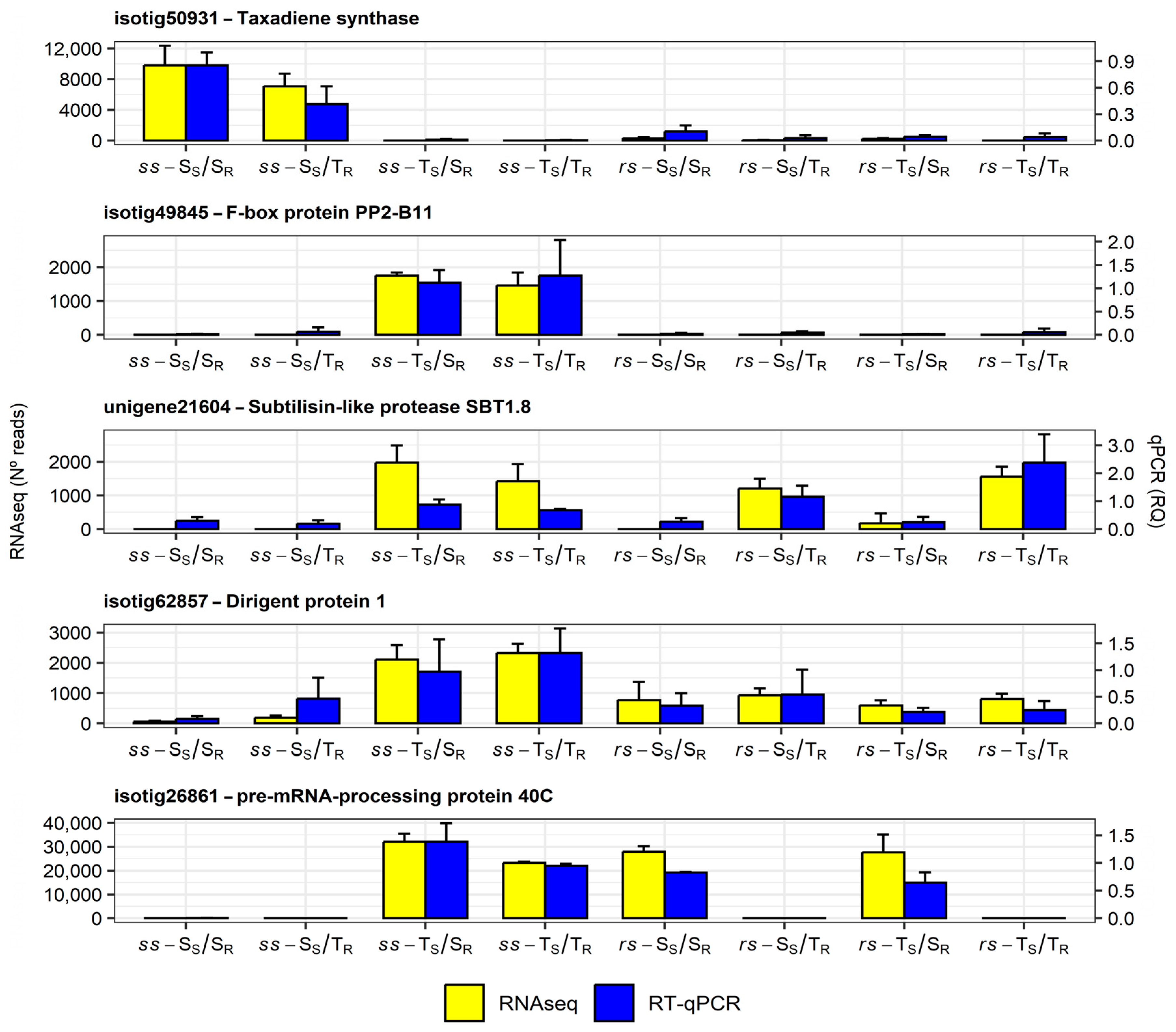 Plants 13 01644 g006