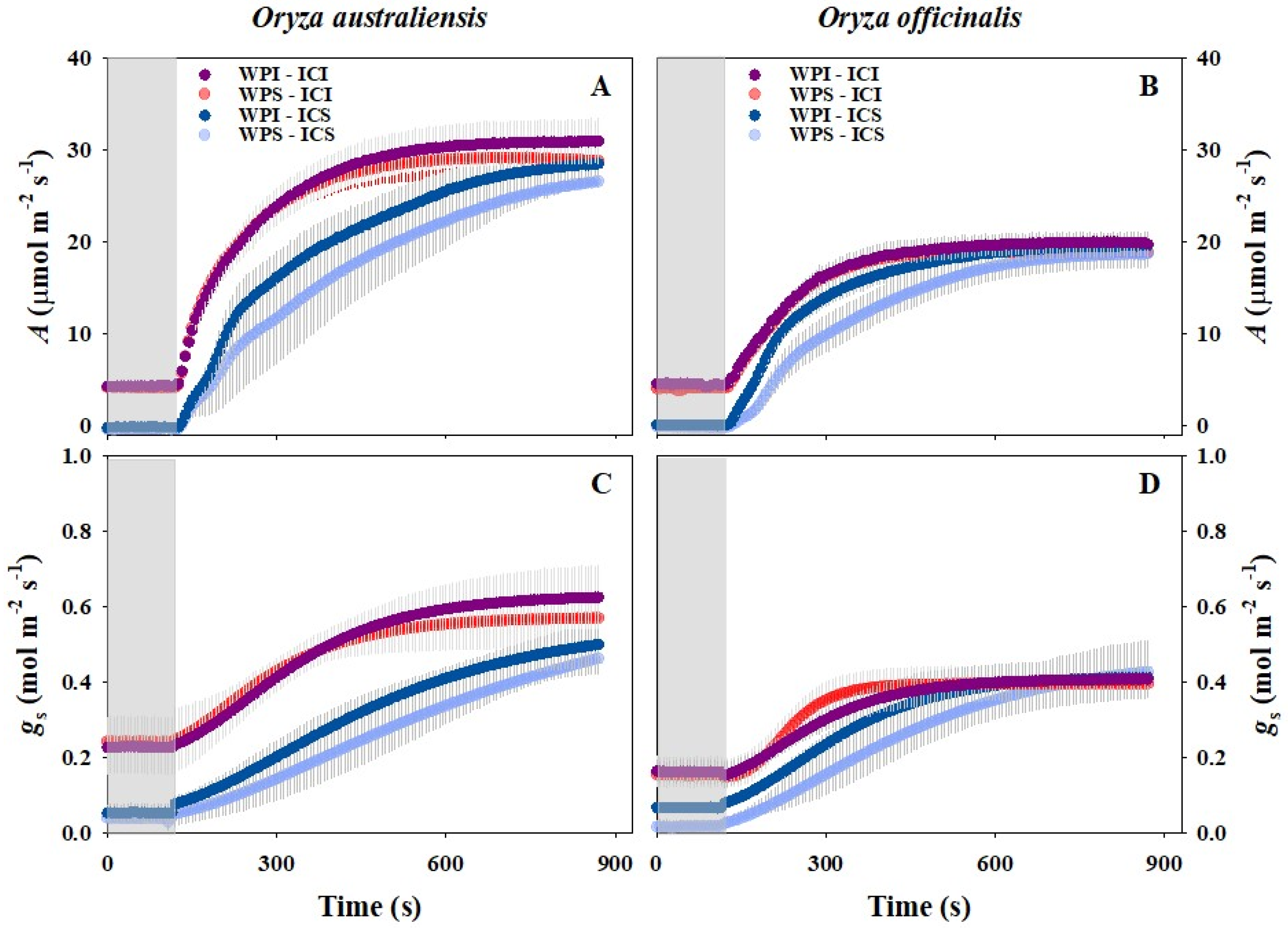 Plants 13 01646 g001