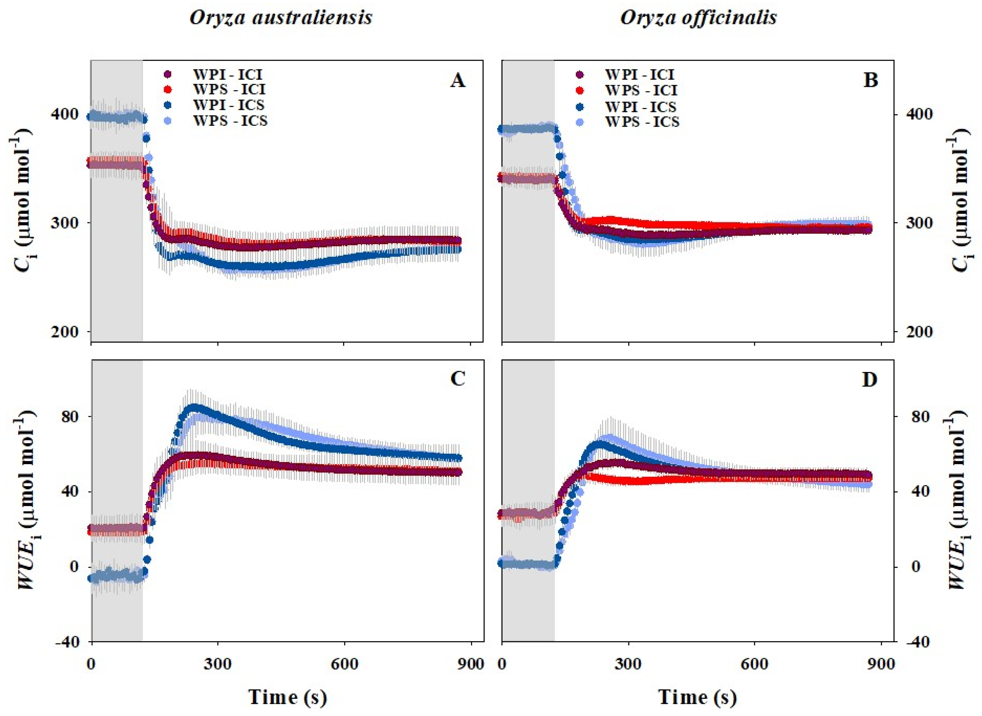 Plants 13 01646 g002