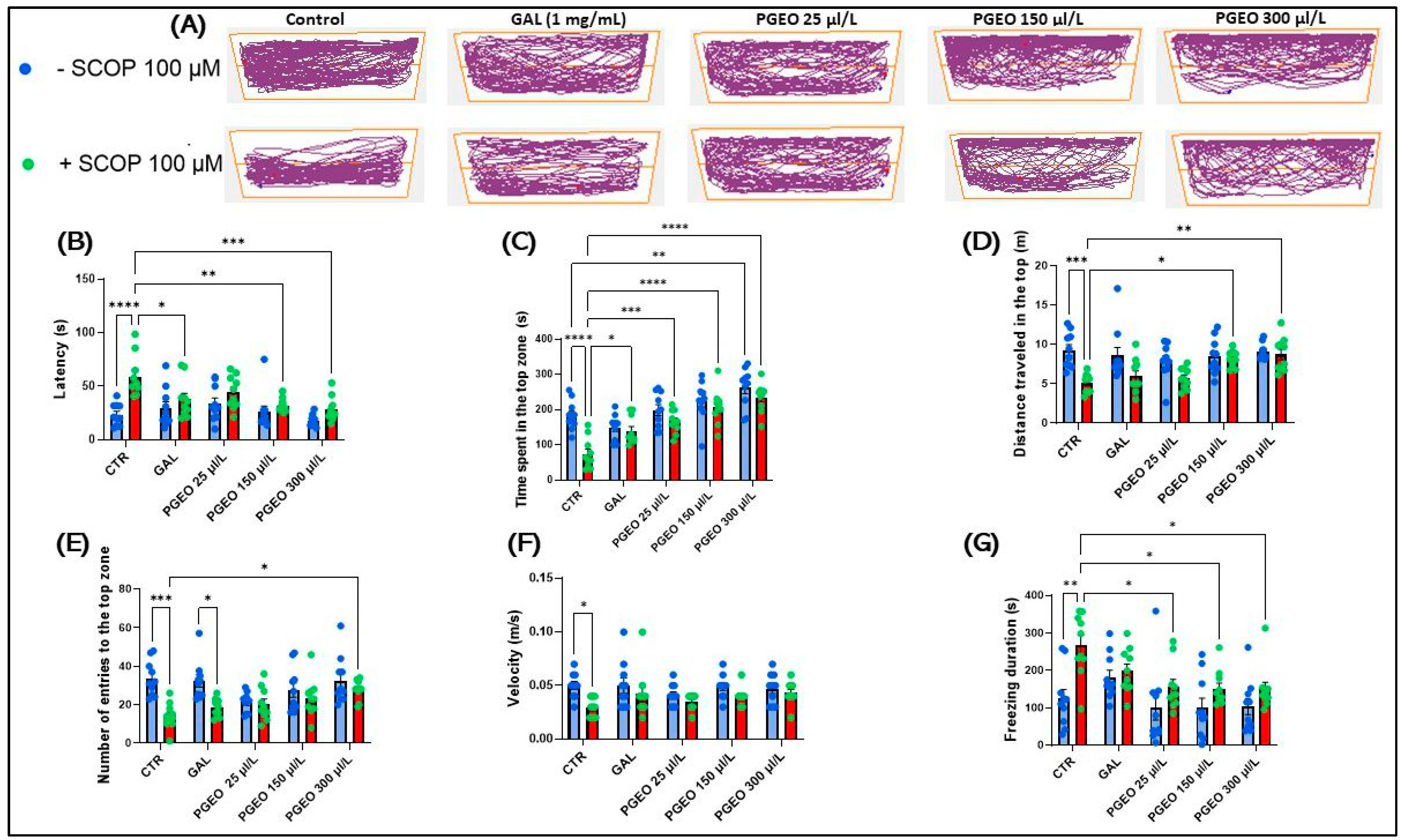 Plants 13 01648 g004