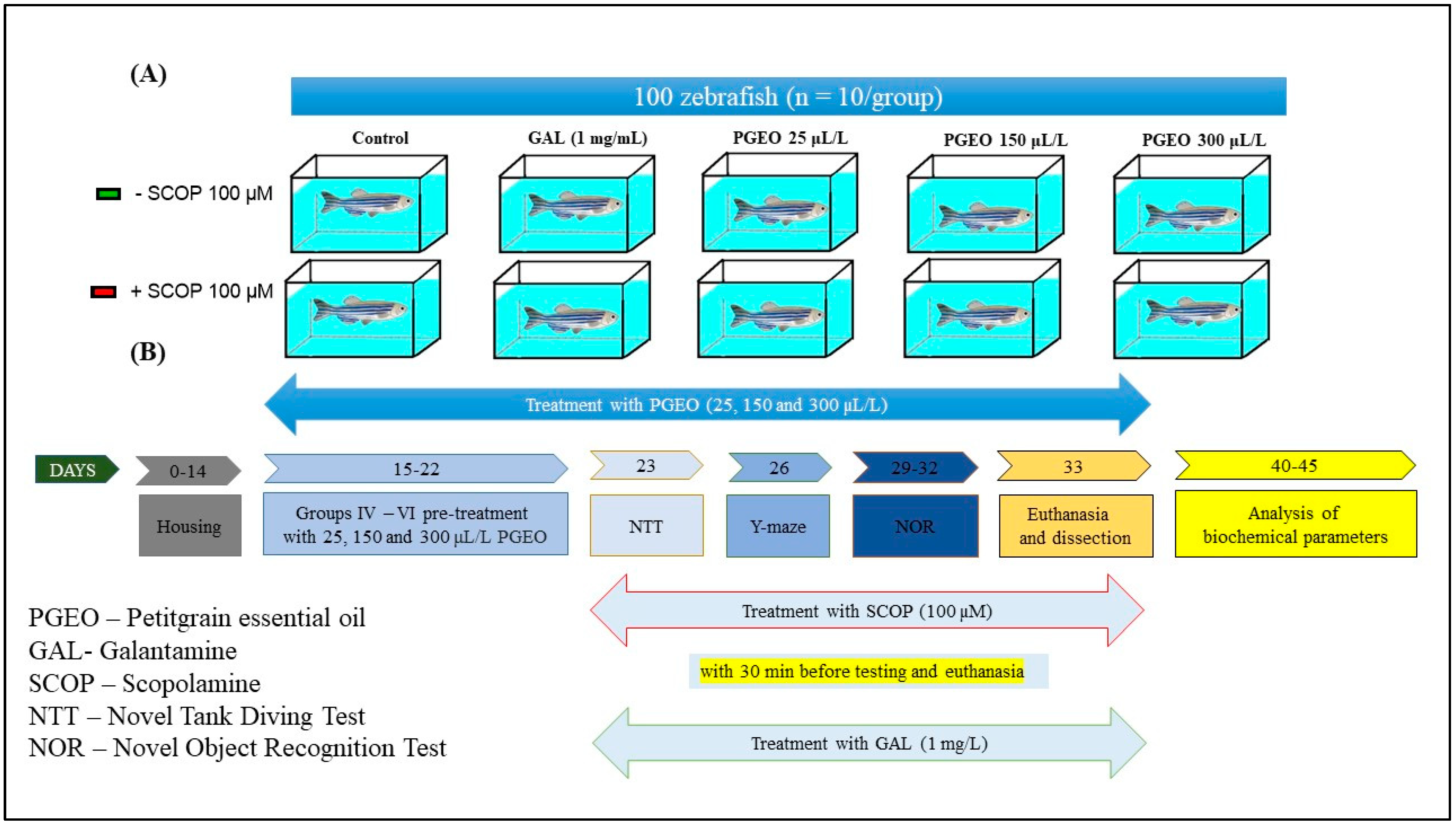 Plants 13 01648 g009