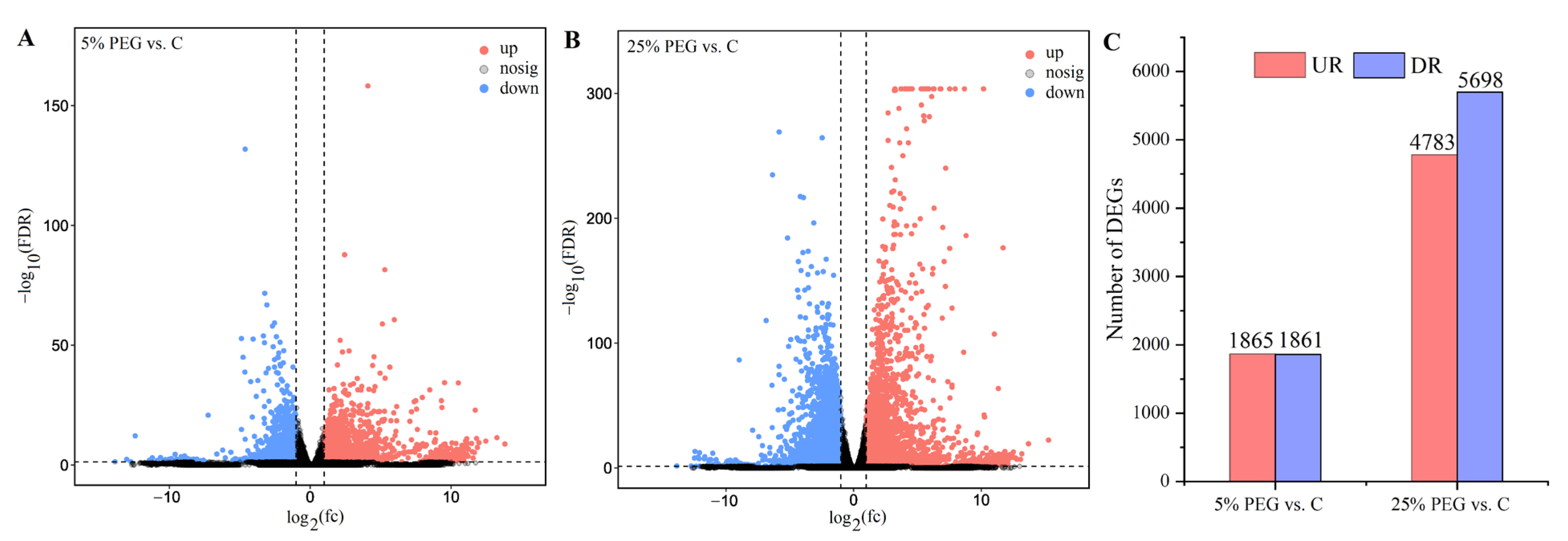 Plants 13 01649 g002