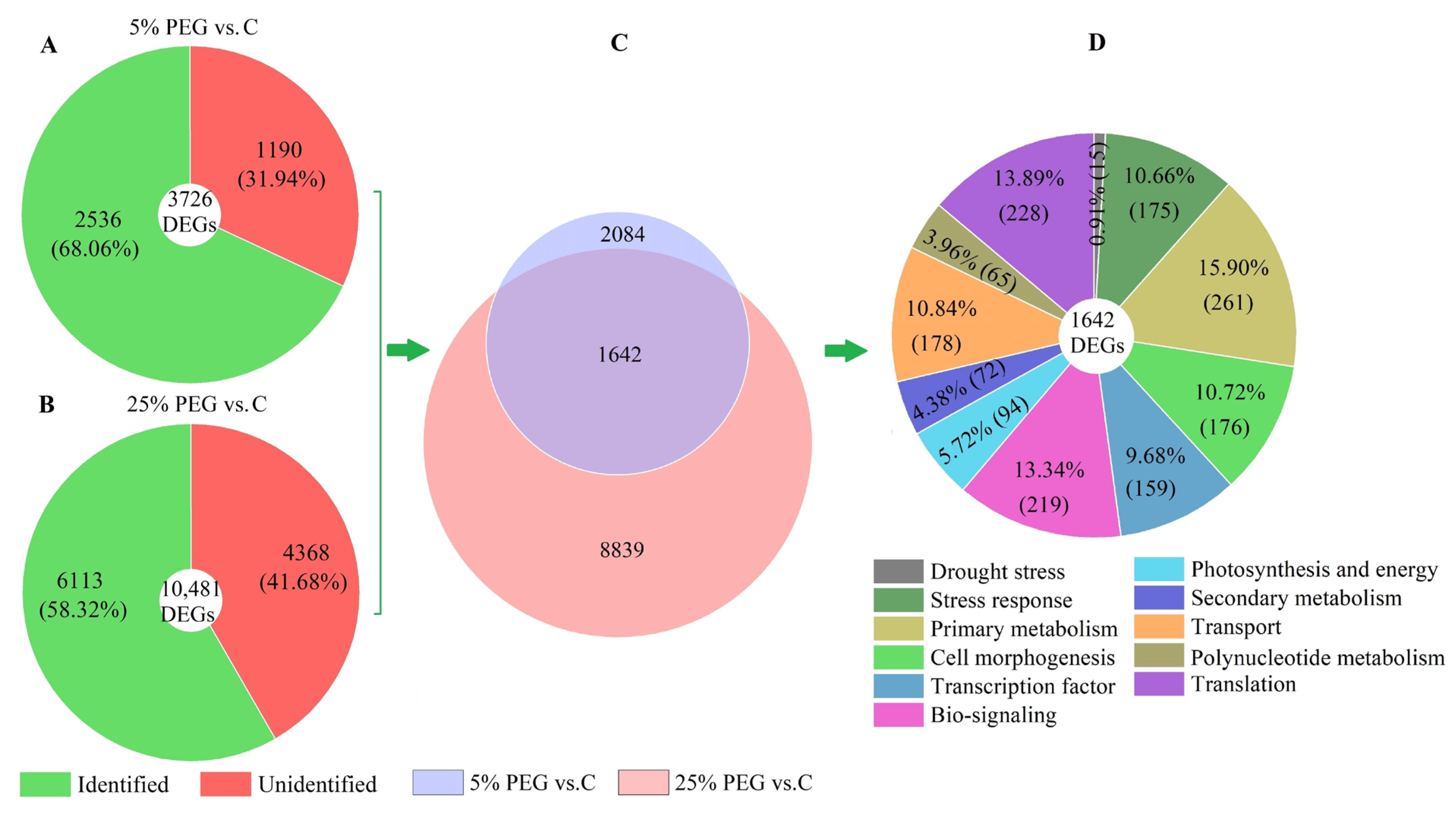 Plants 13 01649 g003
