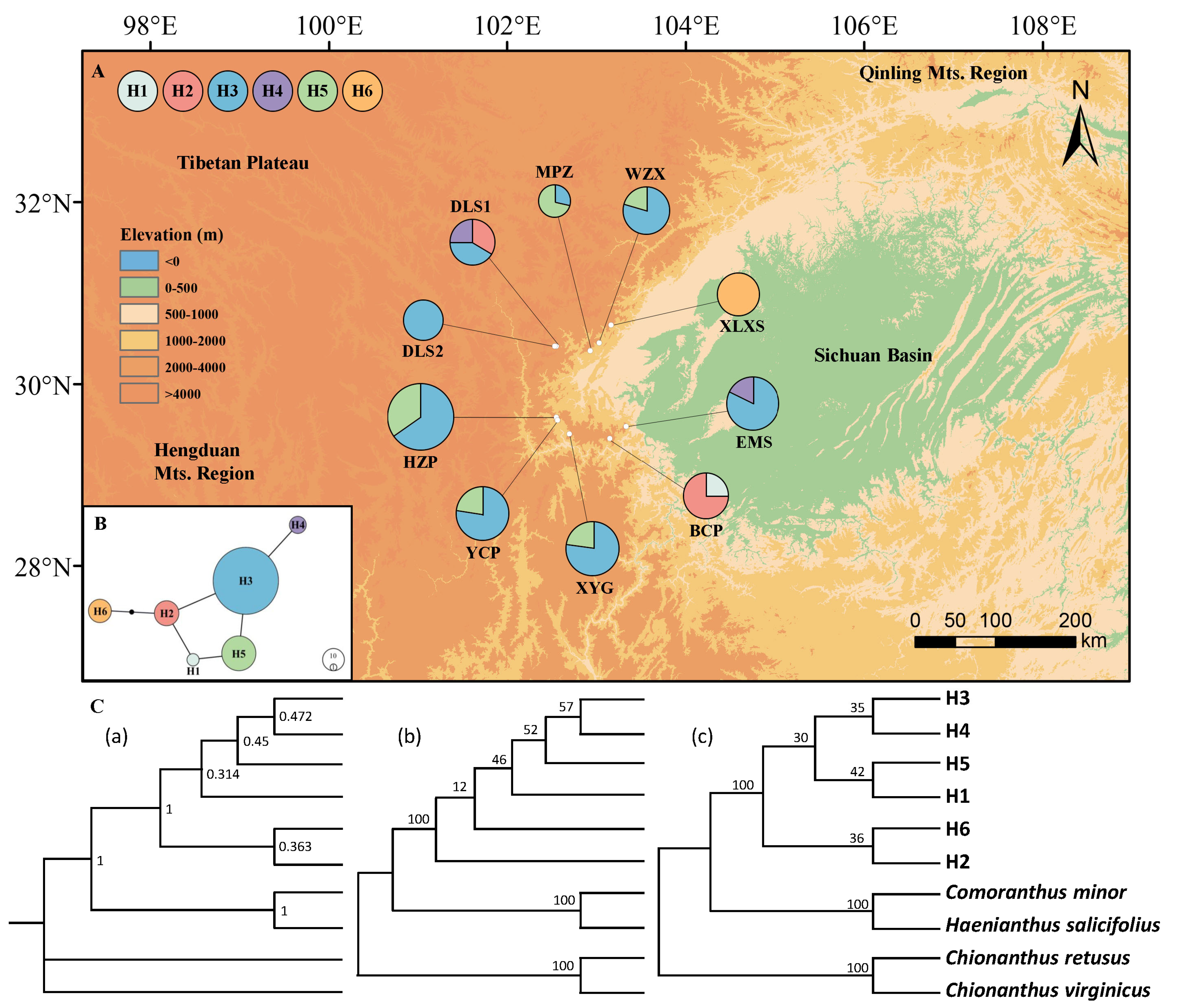 Plants 13 01653 g001