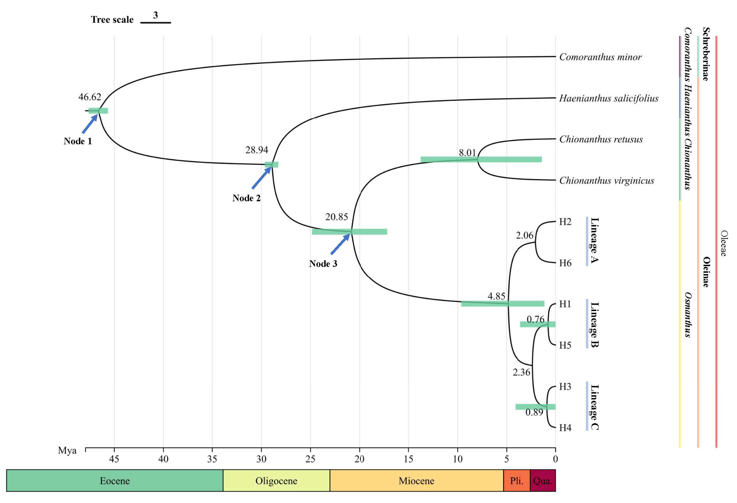 Plants 13 01653 g002