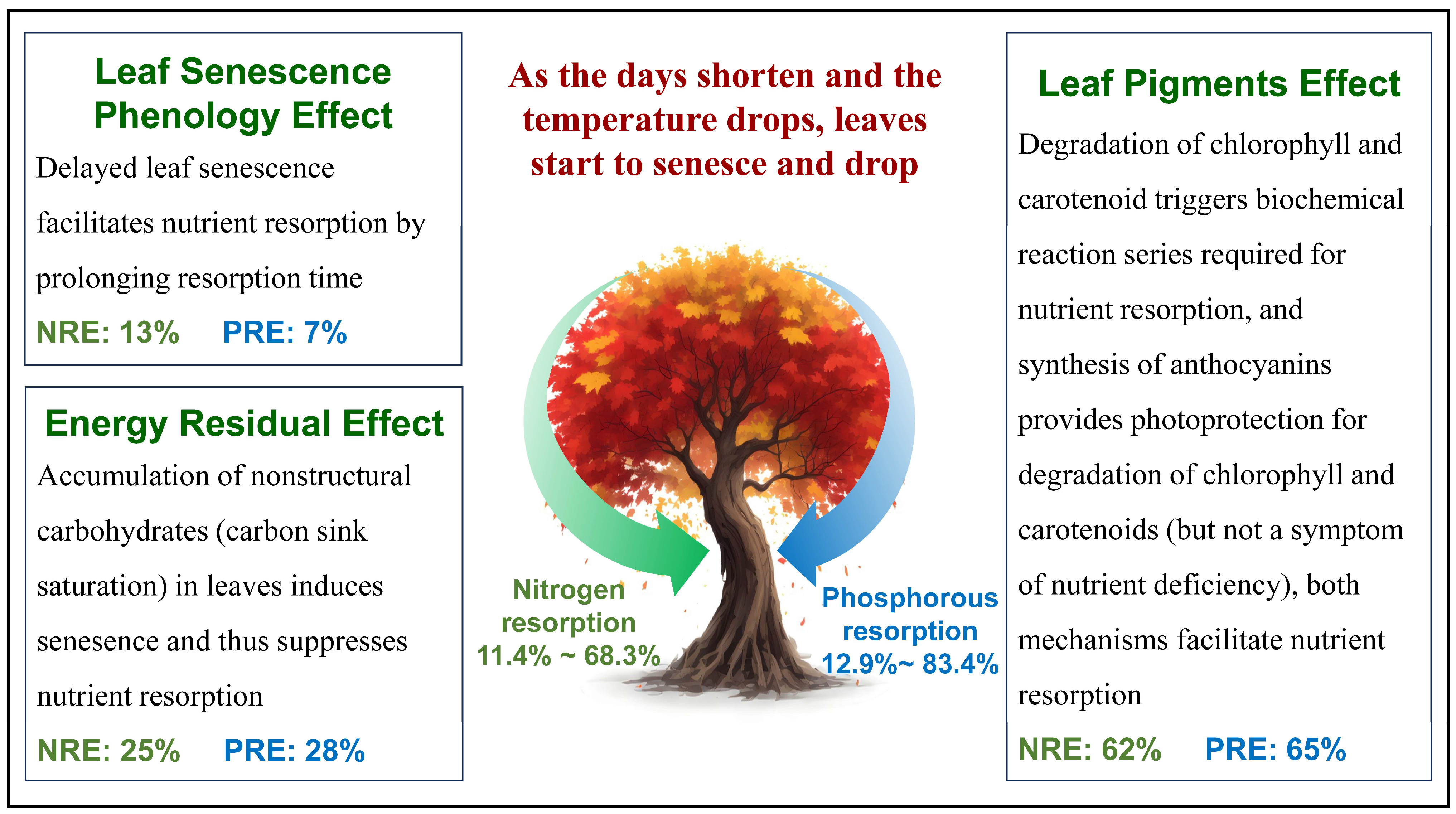 Plants 13 01659 g005