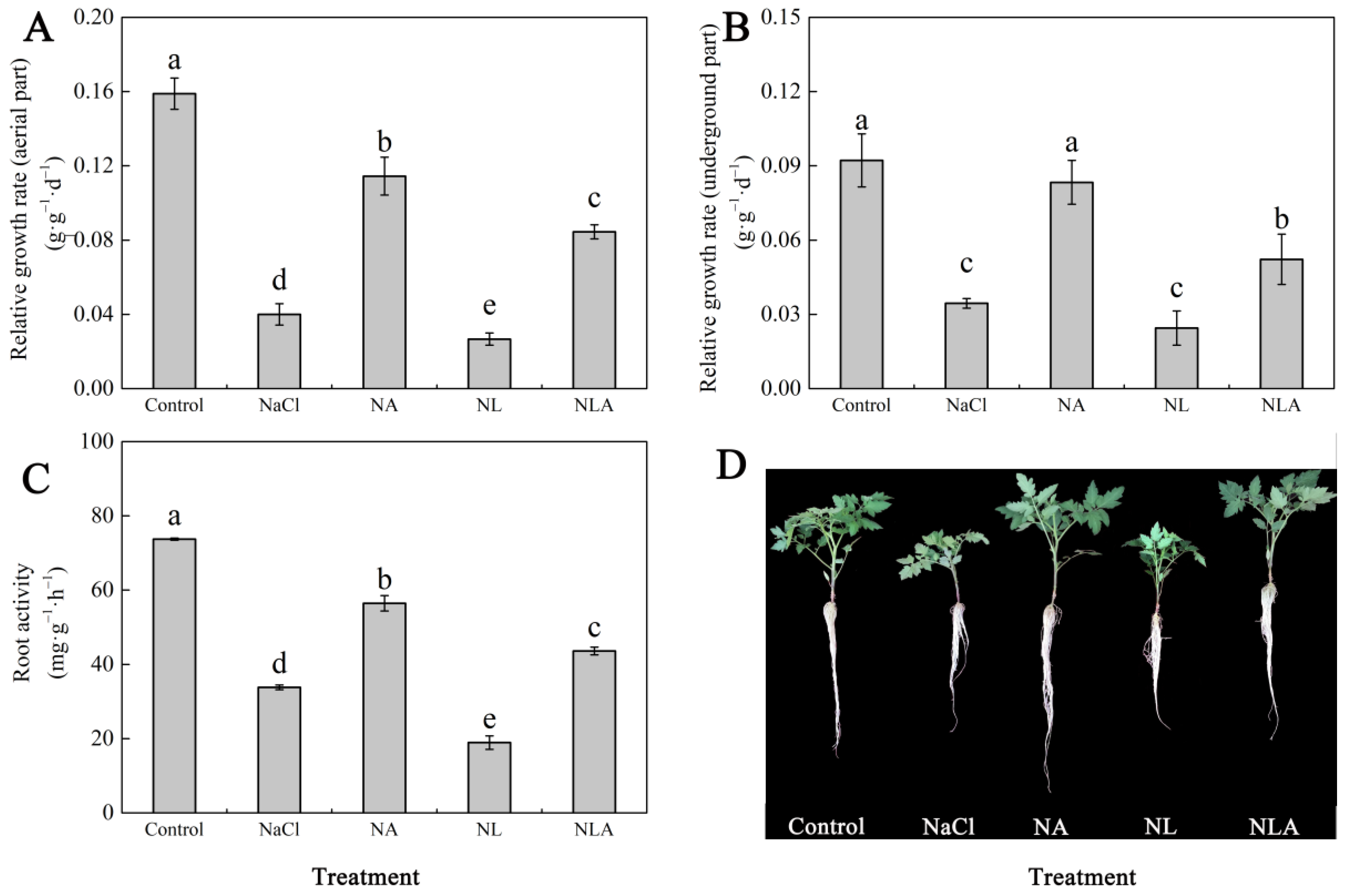 Plants 13 01672 g001