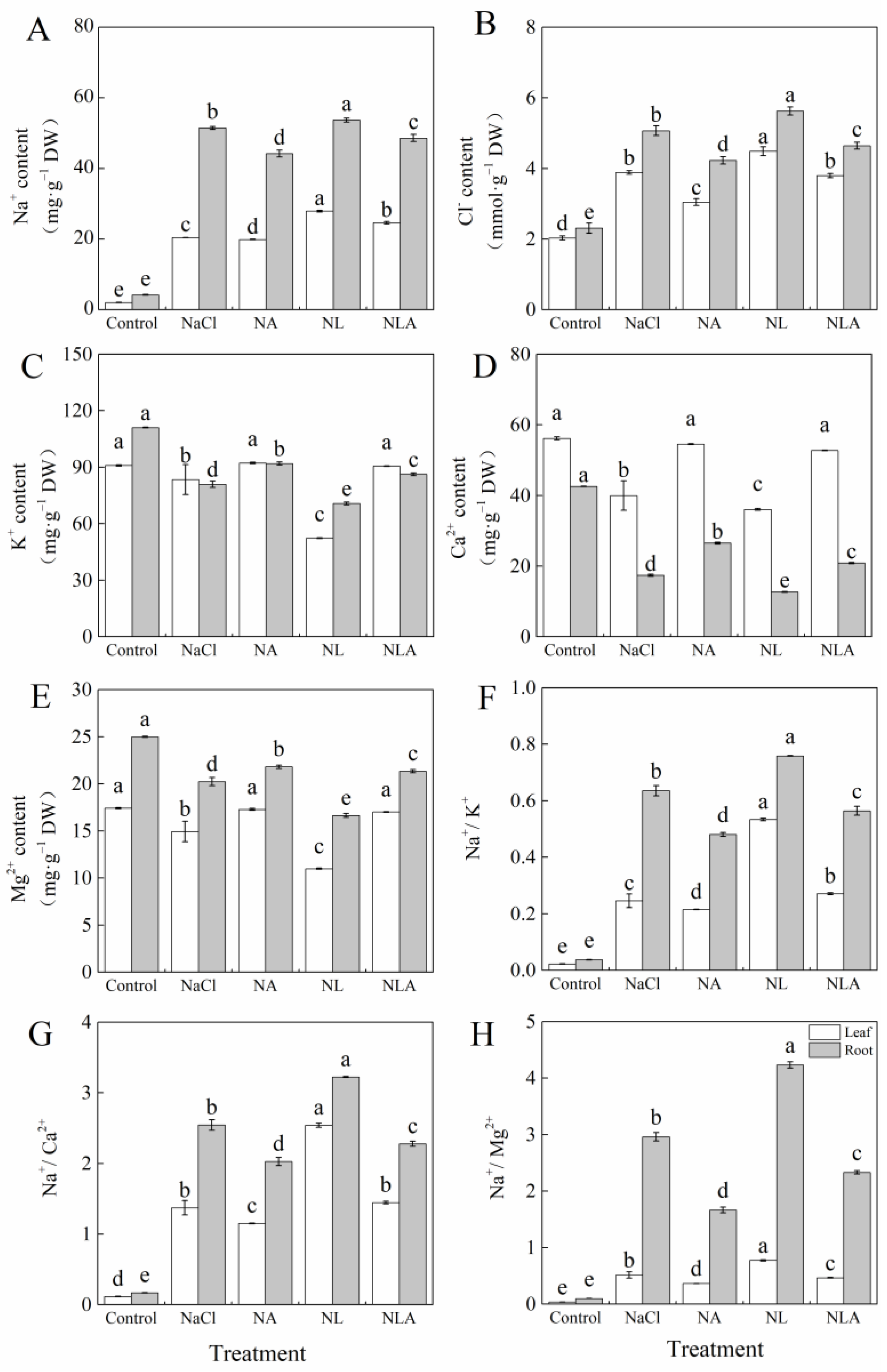 Plants 13 01672 g004