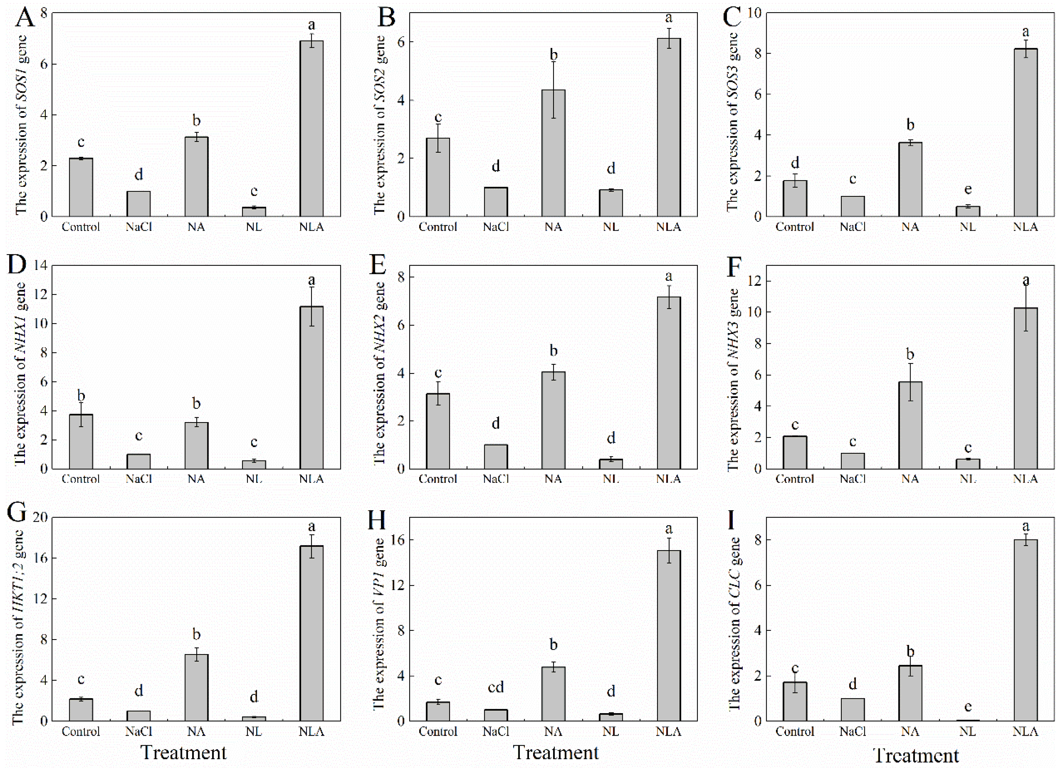 Plants 13 01672 g006