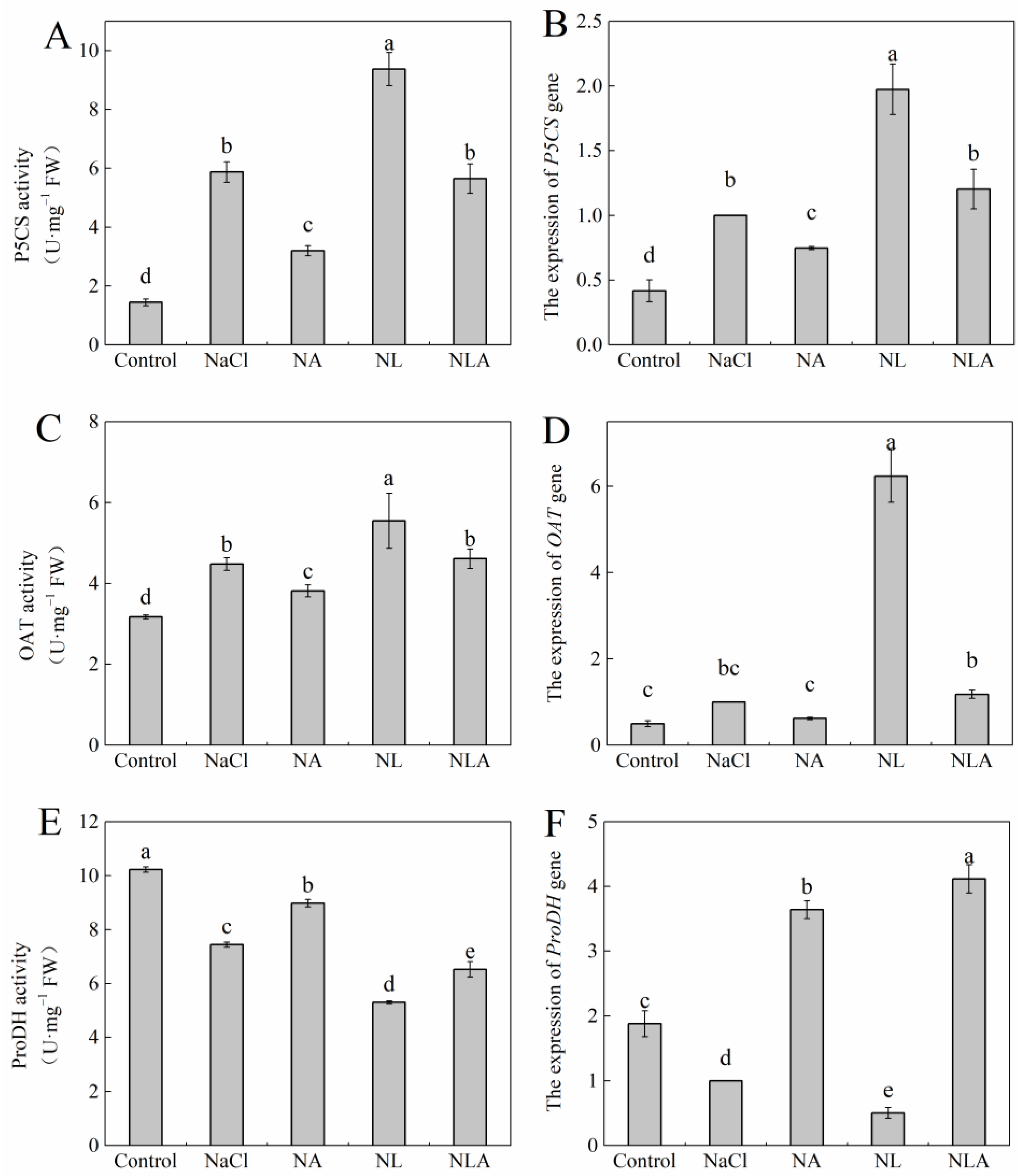 Plants 13 01672 g008