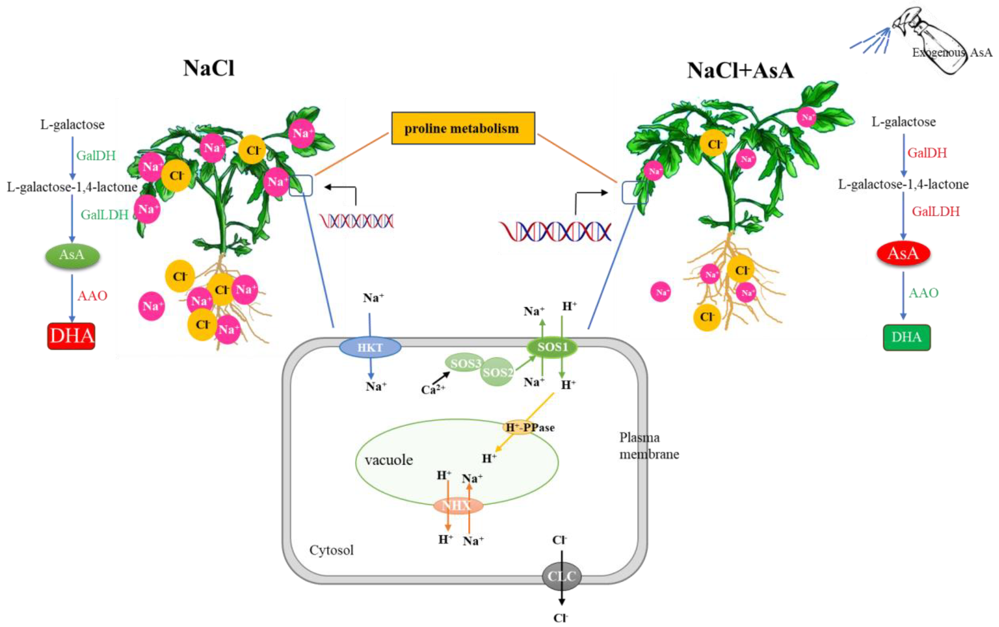 Plants 13 01672 g010
