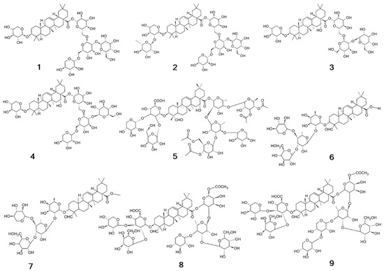 Plants 13 01673 g004