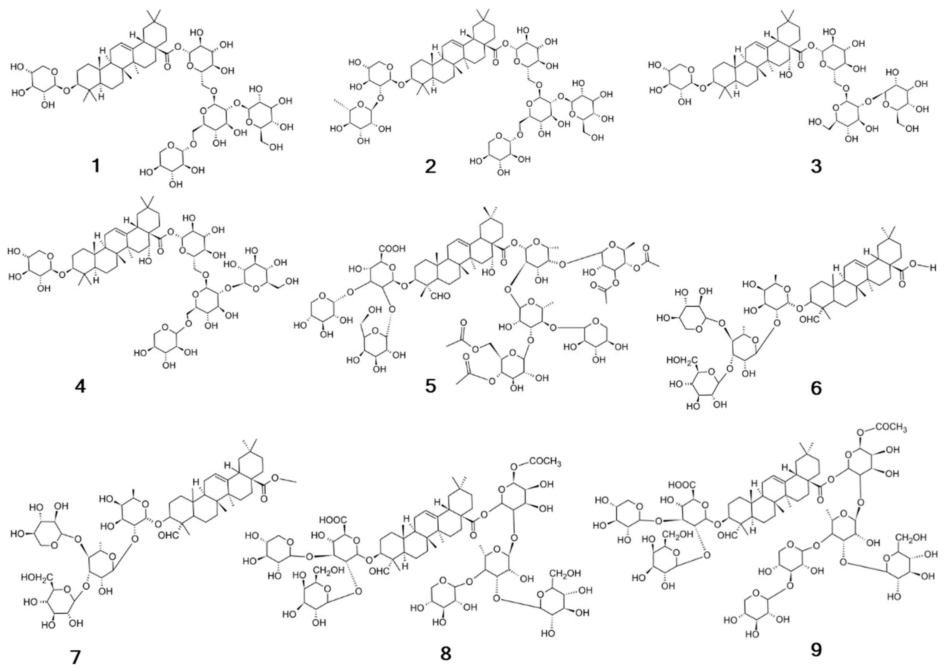 Plants 13 01673 g004