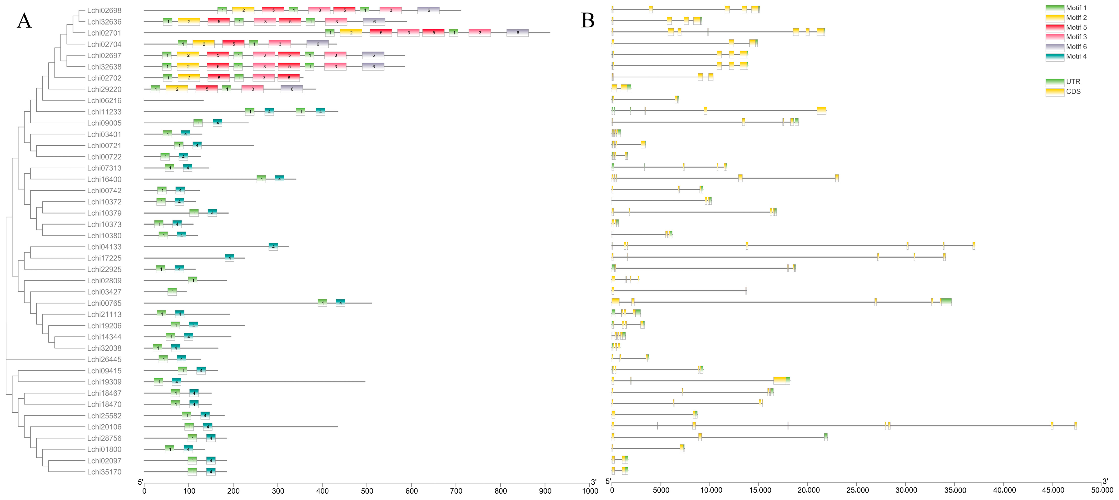 Plants 13 01674 g002