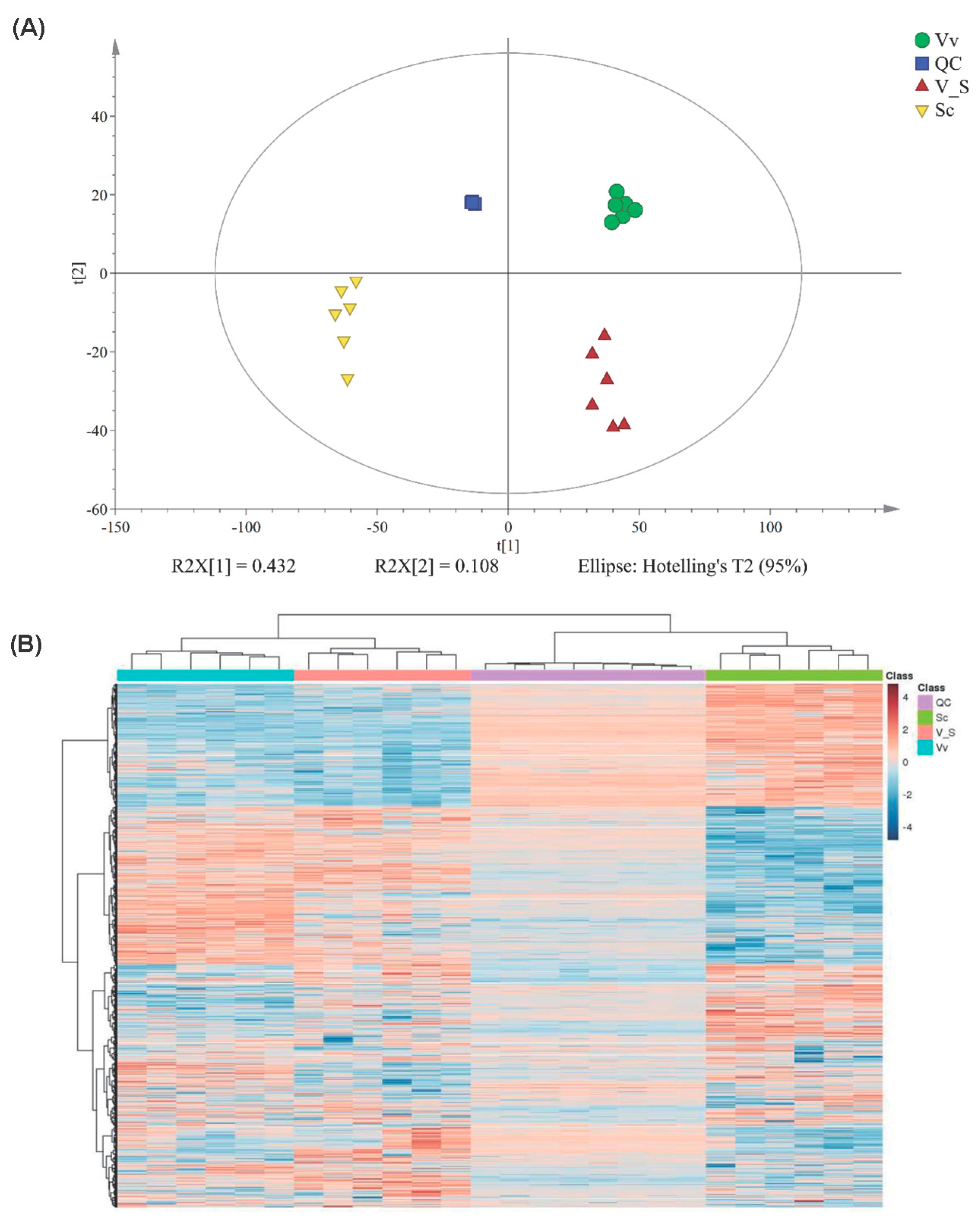 Plants 13 01676 g004