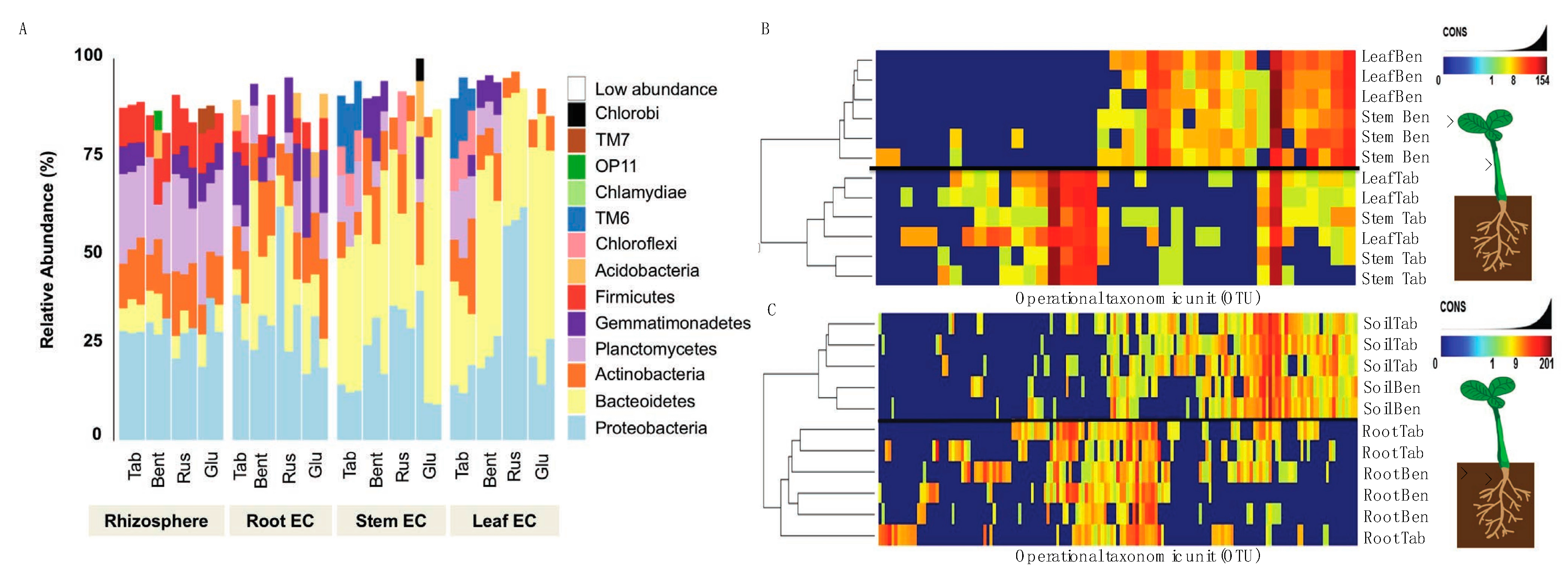 Plants 13 01677 g003