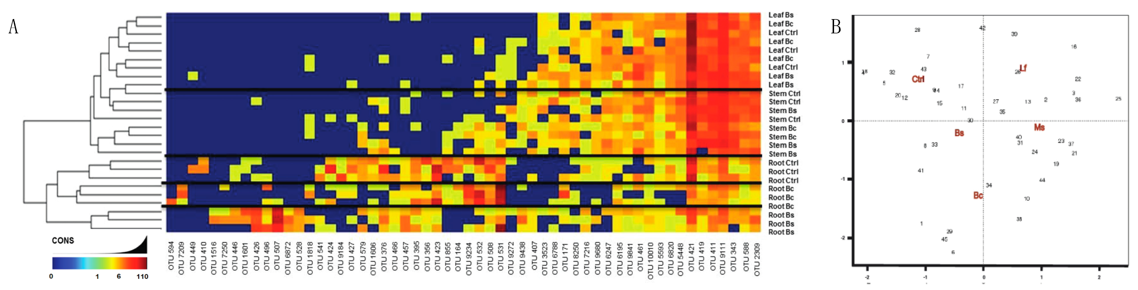 Plants 13 01677 g005