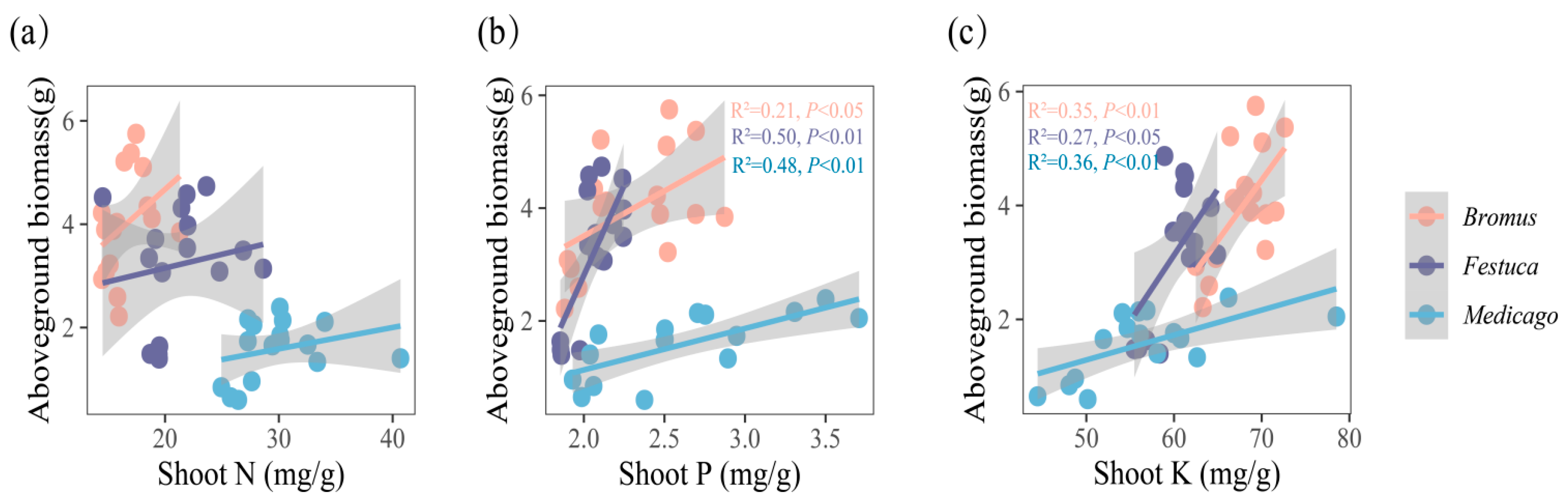 Plants 13 01678 g005 Plants 13 01678 g005